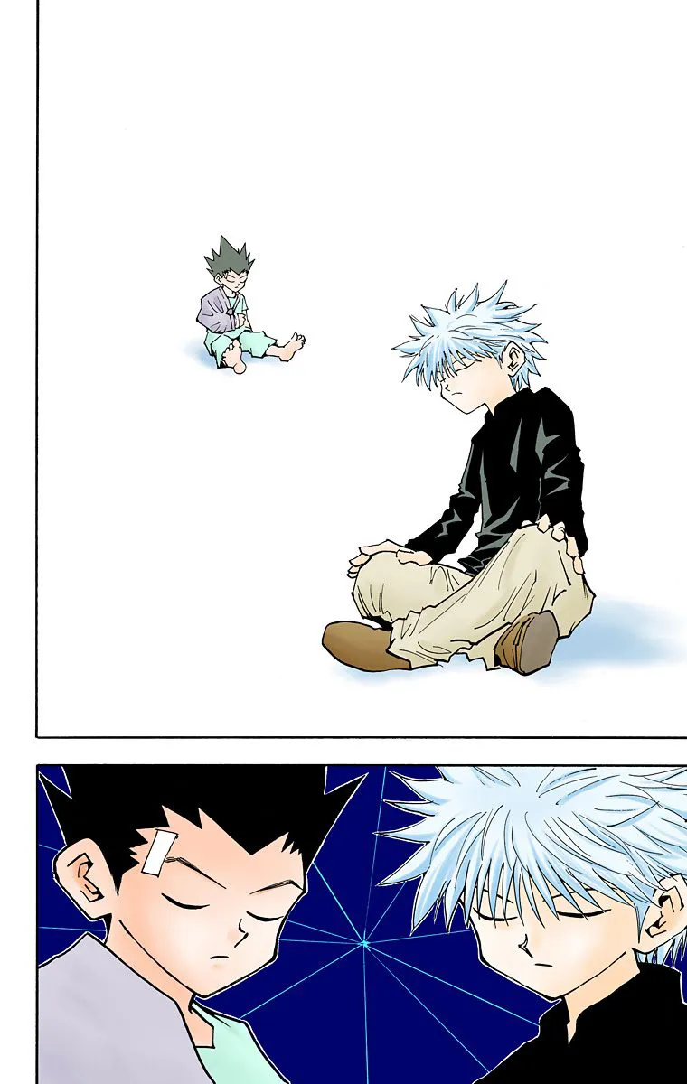 Hunter x Hunter Colored Manga