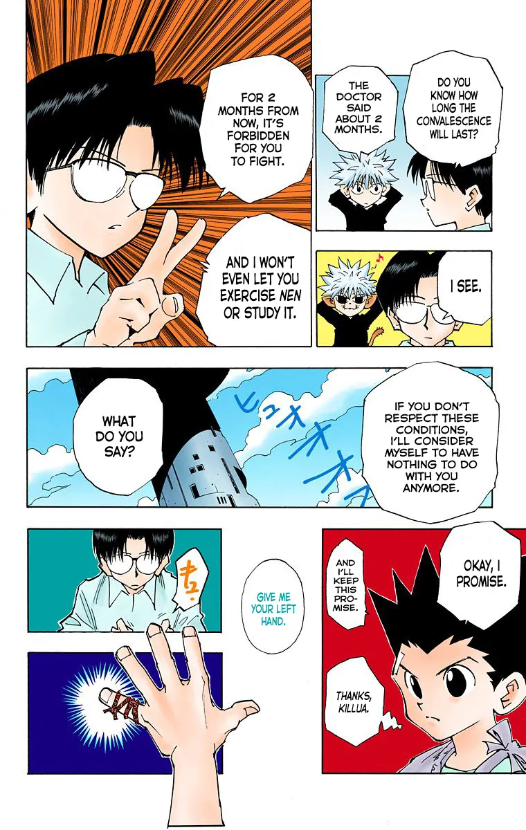 Hunter x Hunter Colored Manga