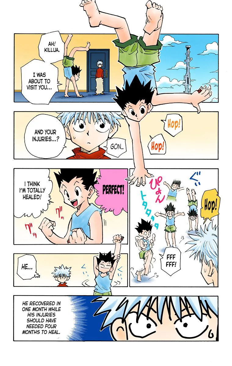 Hunter x Hunter Colored Manga