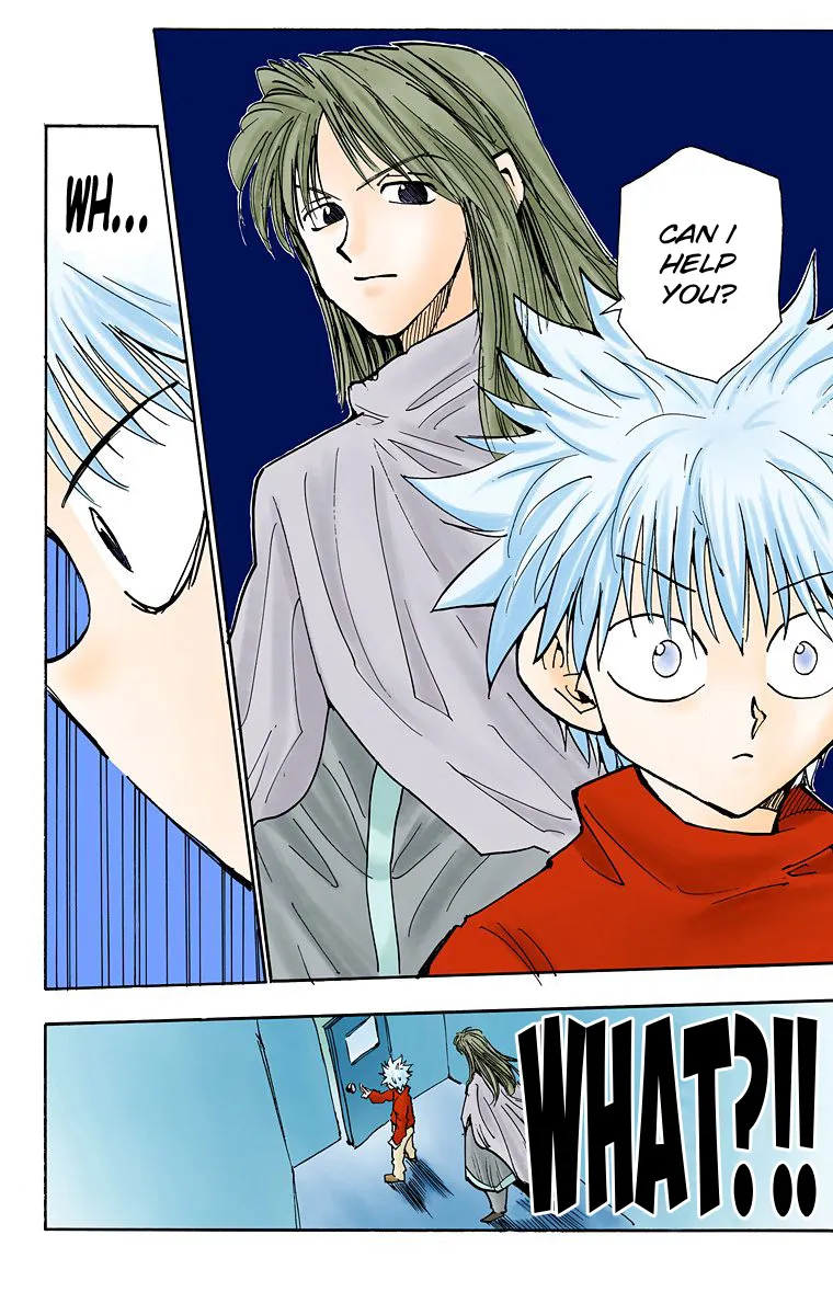 Hunter x Hunter Colored Manga