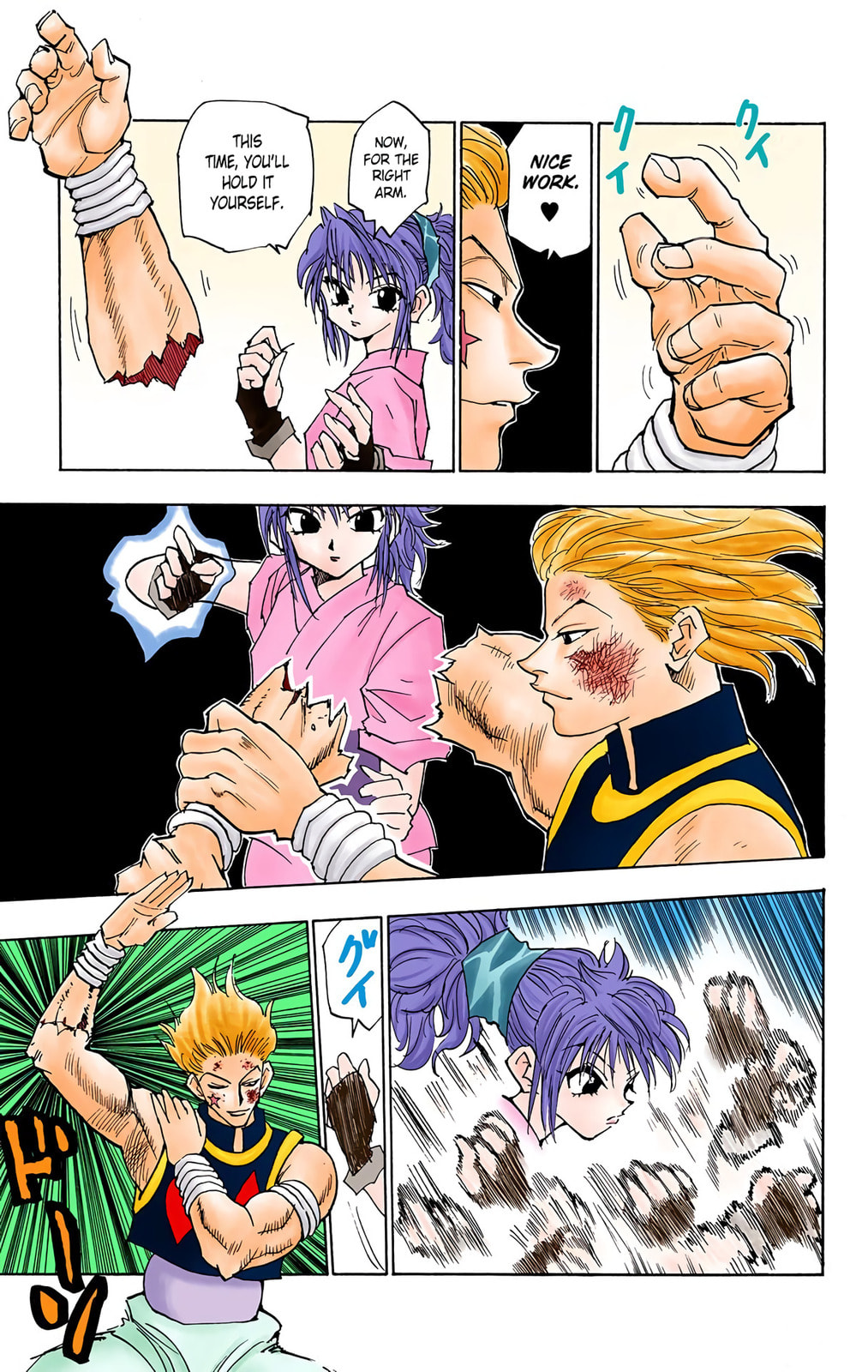 Hunter x Hunter Colored Manga