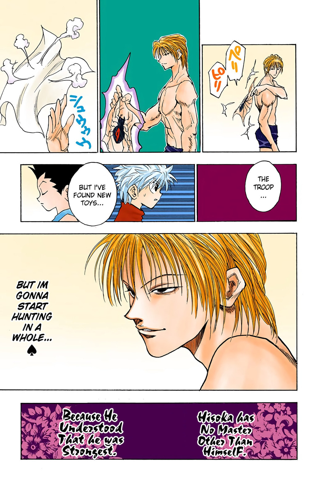 Hunter x Hunter Colored Manga