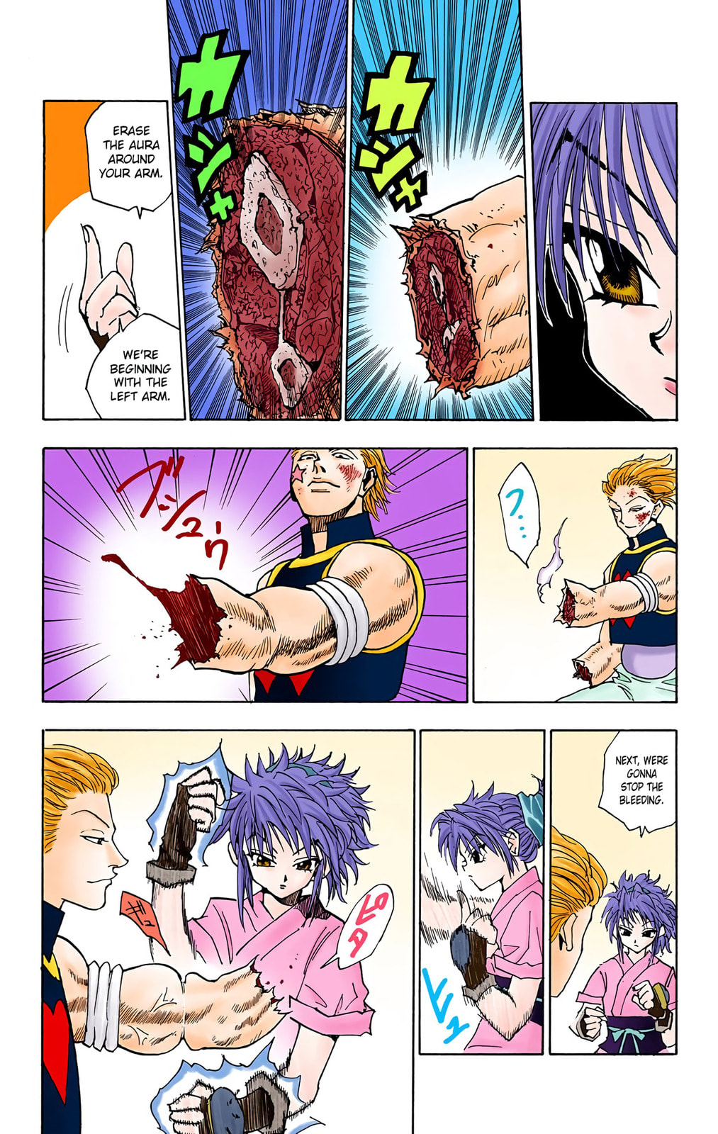 Hunter x Hunter Colored Manga