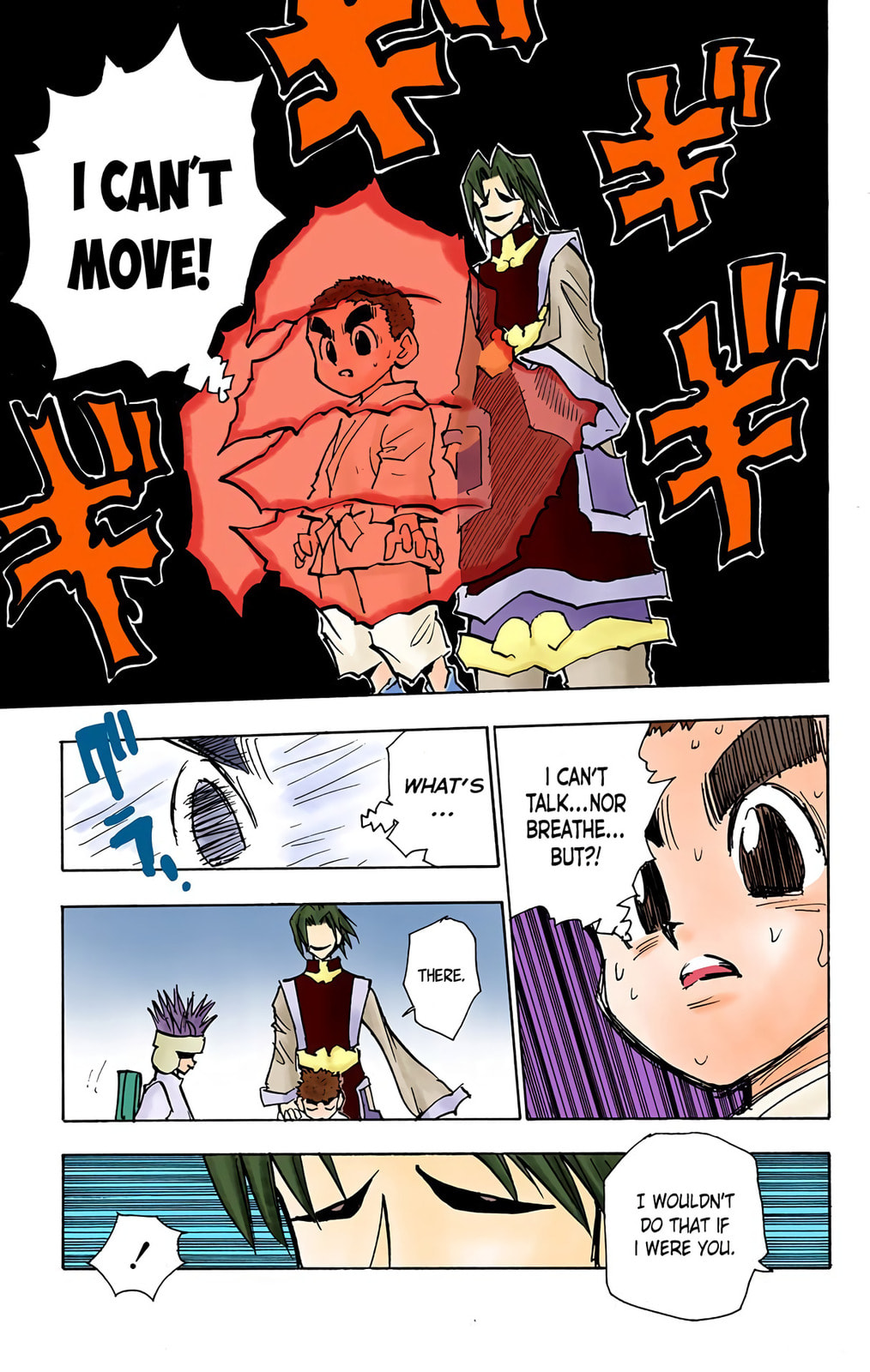 Hunter x Hunter Colored Manga