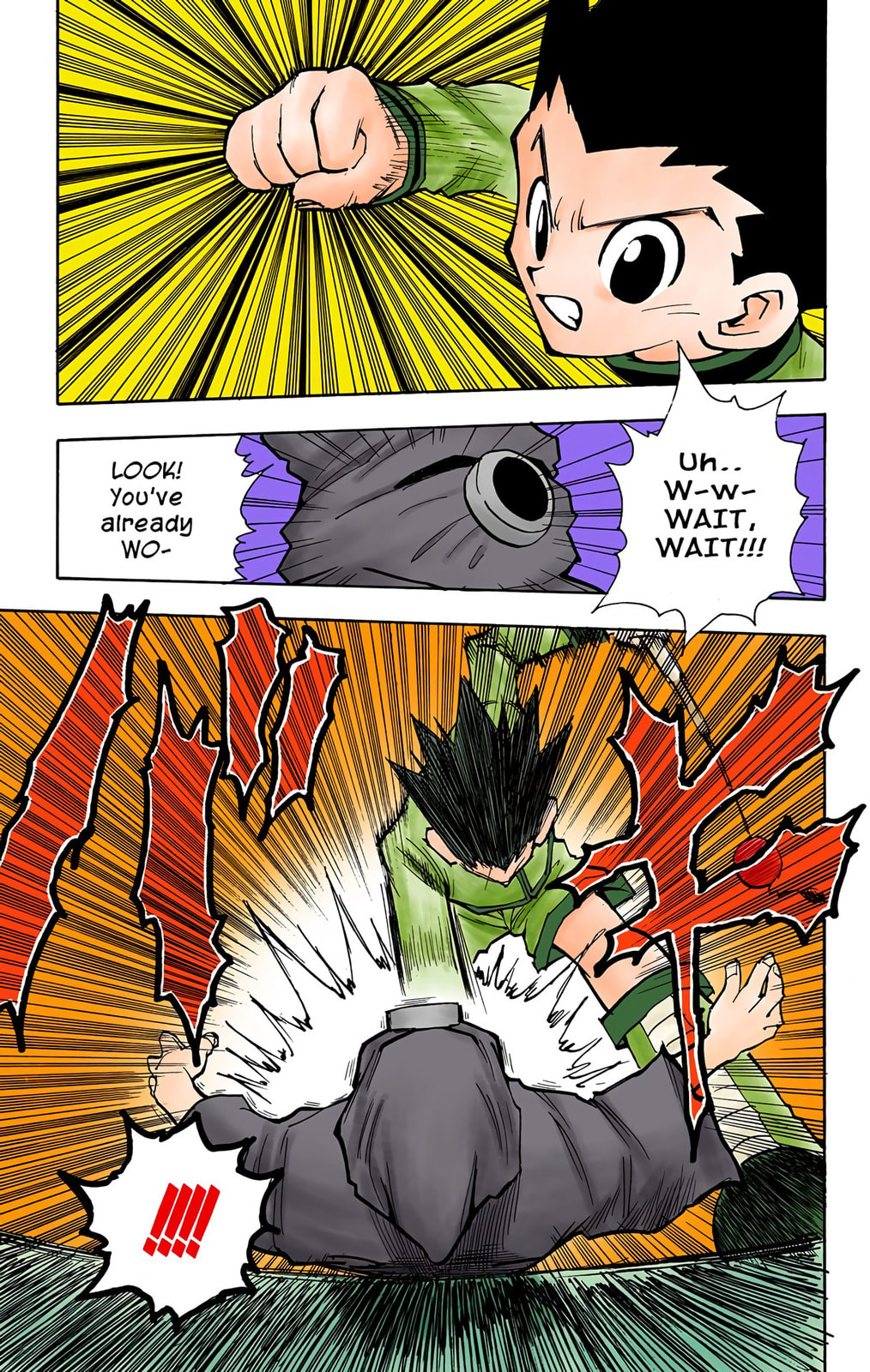 Hunter x Hunter Colored Manga