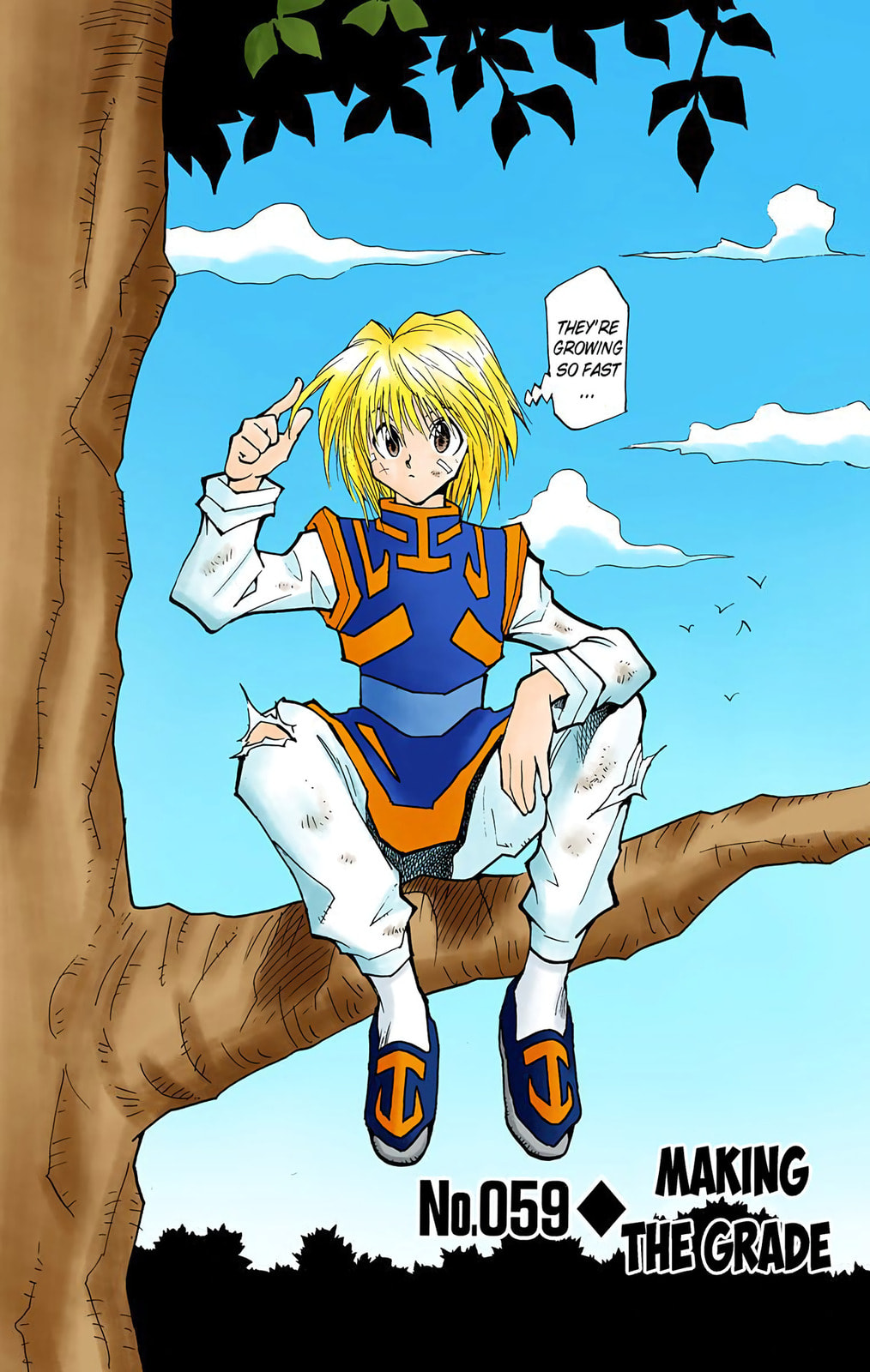 Hunter x Hunter Colored Manga