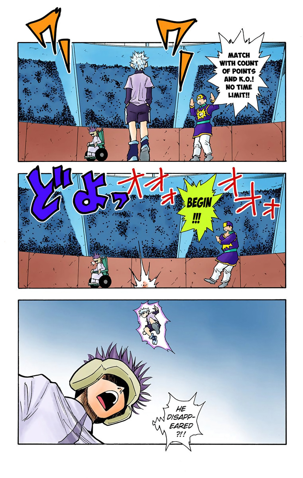 Hunter x Hunter Colored Manga