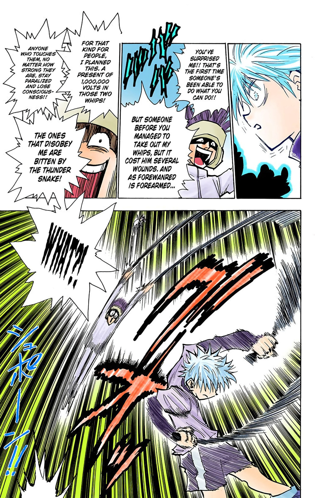 Hunter x Hunter Colored Manga