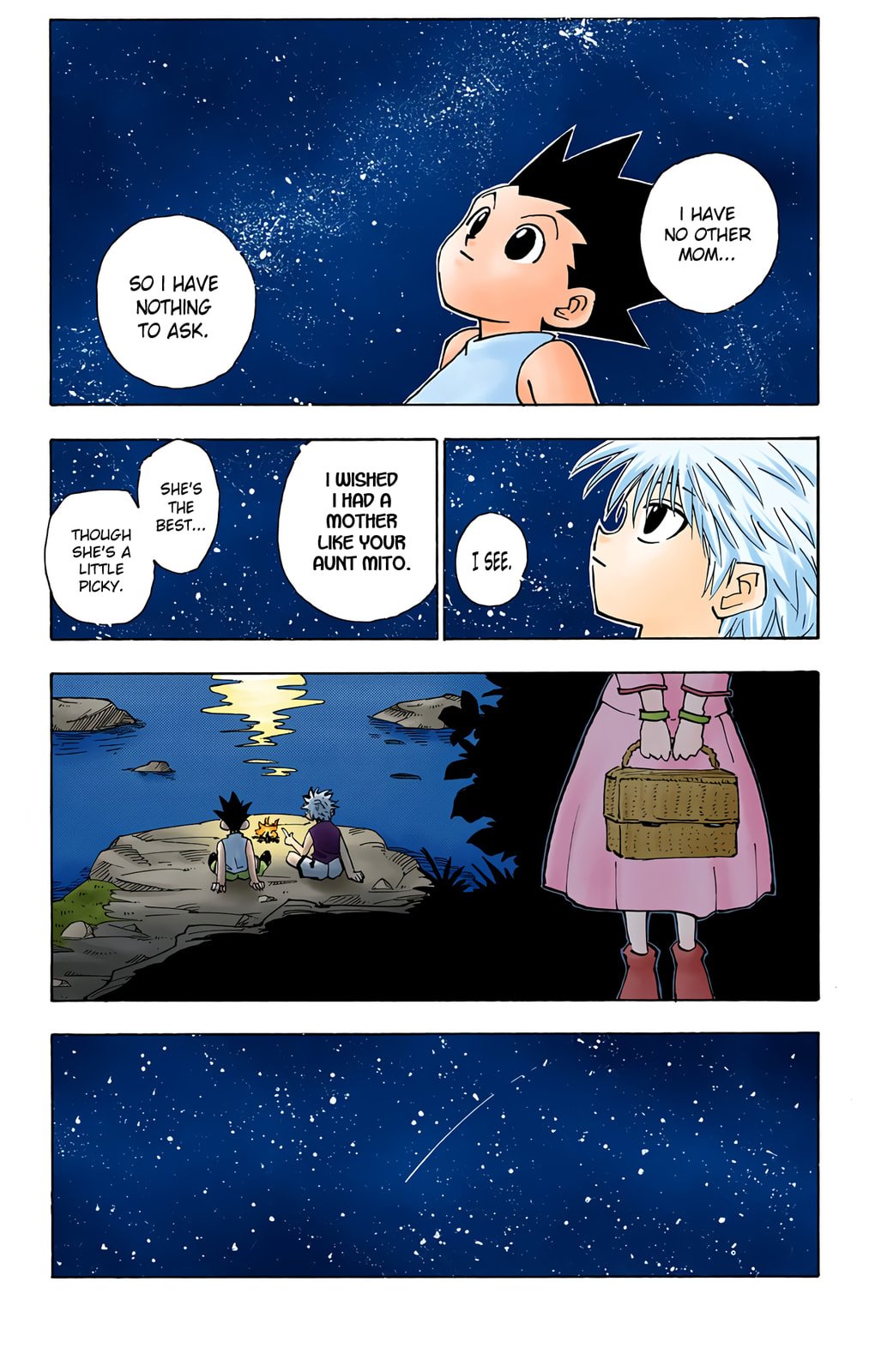 Hunter x Hunter Colored Manga
