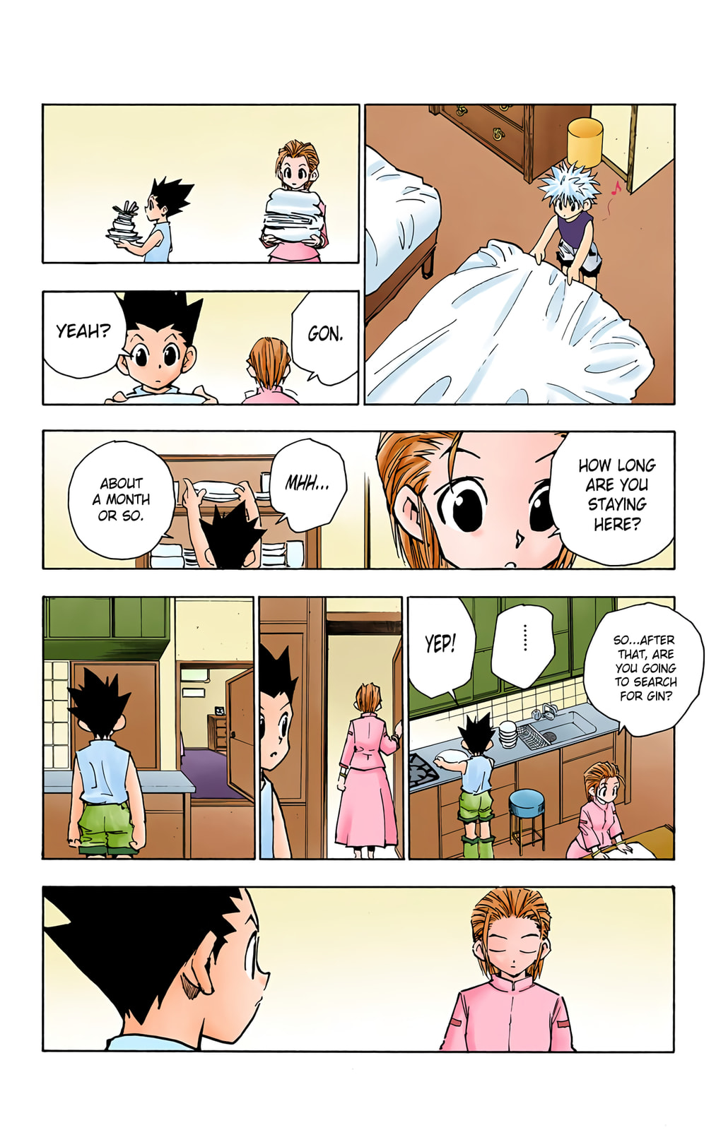 Hunter x Hunter Colored Manga