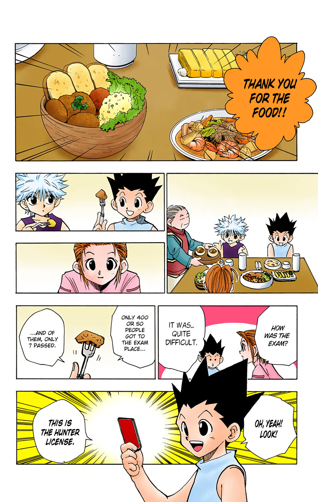 Hunter x Hunter Colored Manga