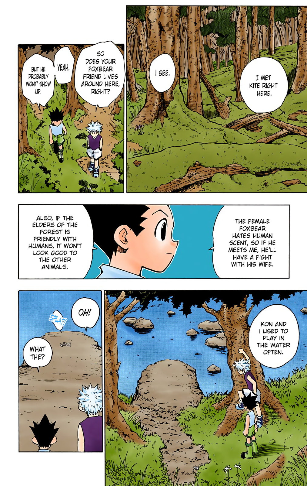 Hunter x Hunter Colored Manga