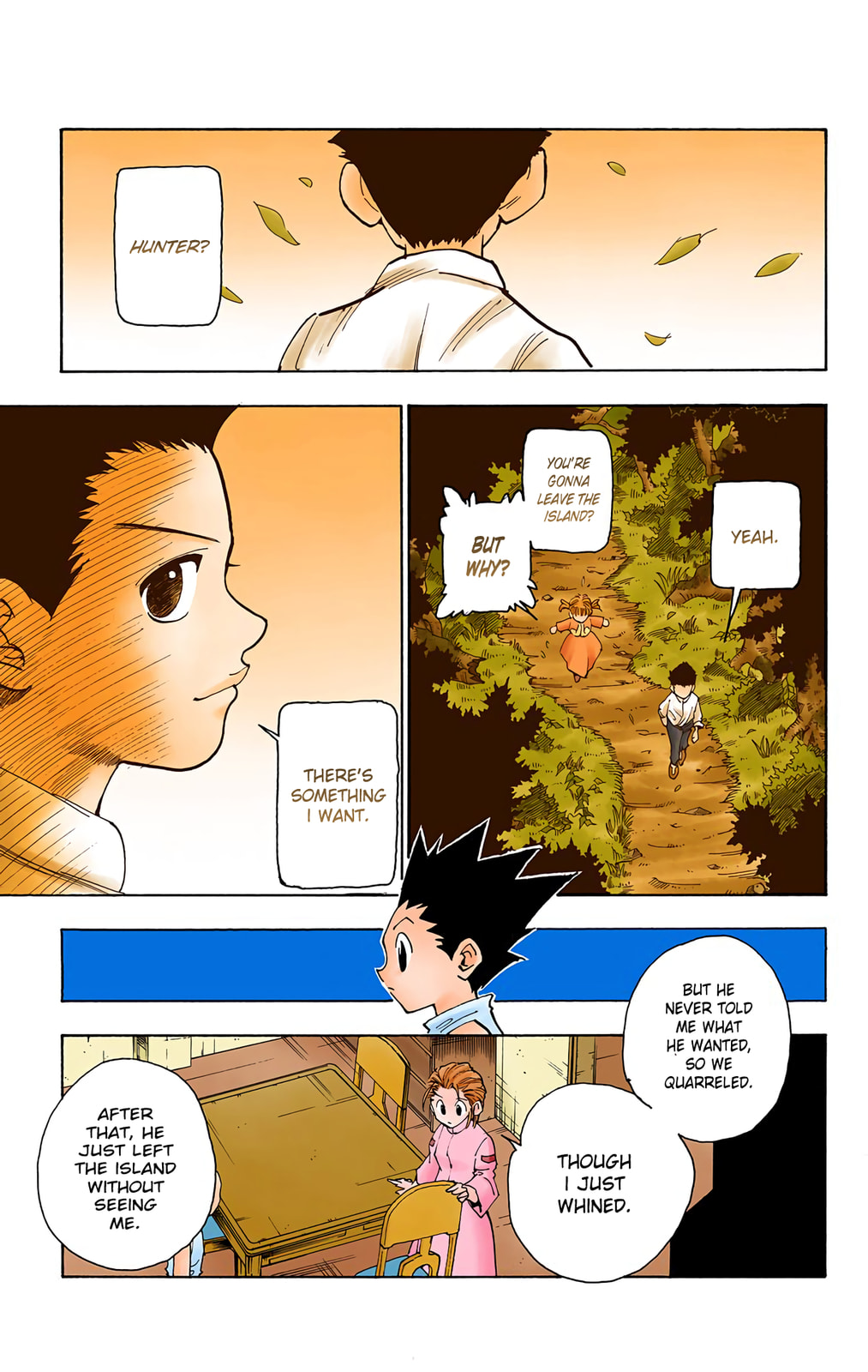 Hunter x Hunter Colored Manga