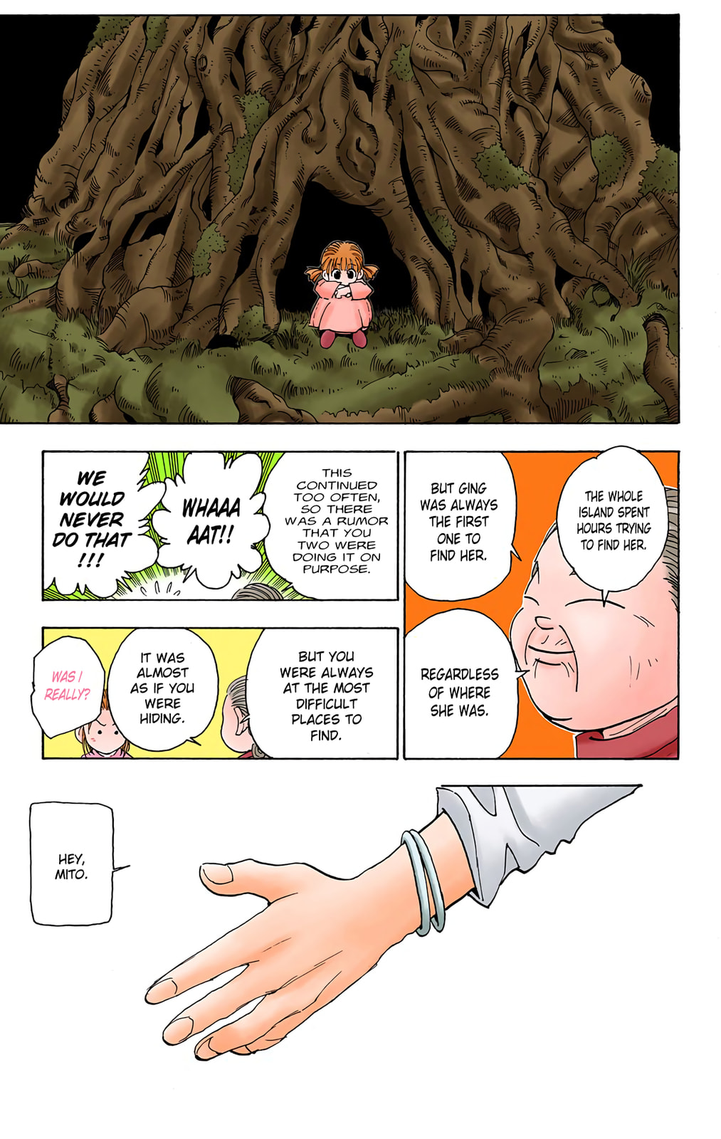 Hunter x Hunter Colored Manga