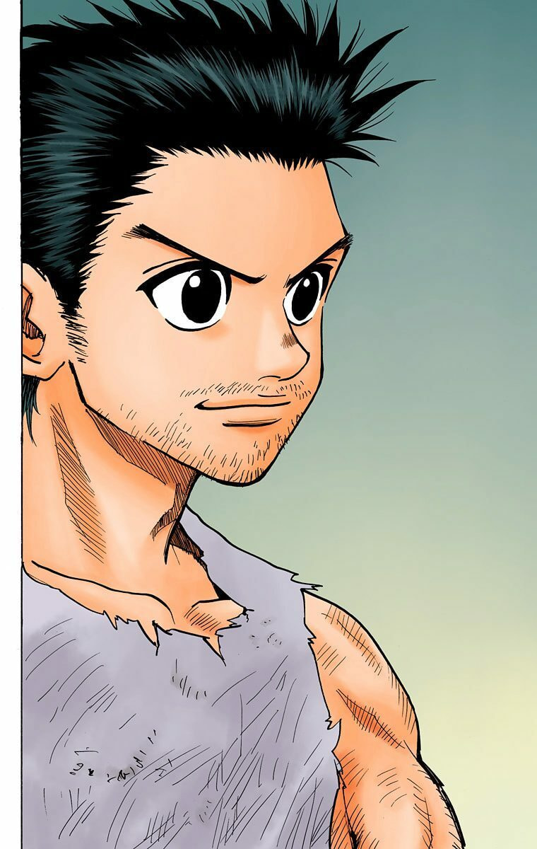 Hunter x Hunter Colored Manga