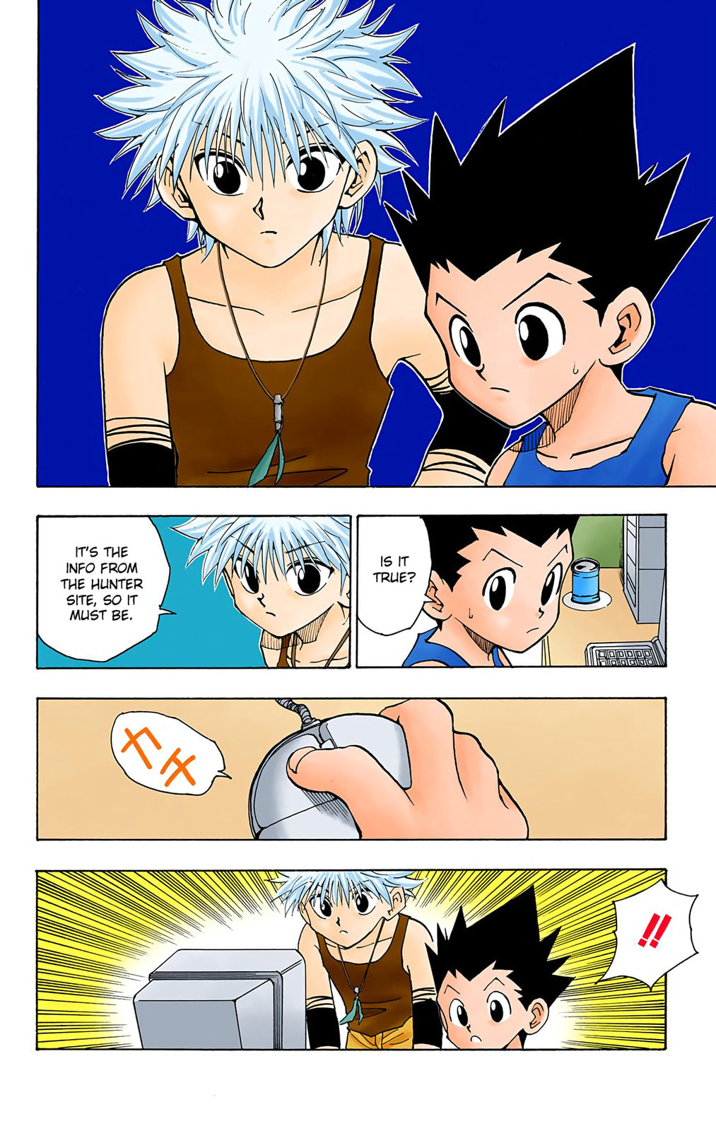 Hunter x Hunter Colored Manga