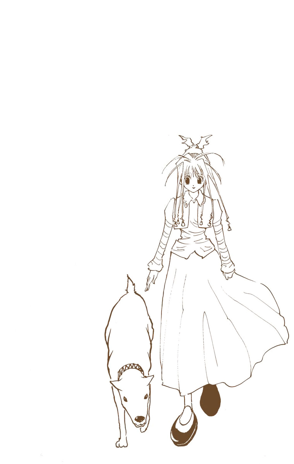 Hunter x Hunter Colored Manga