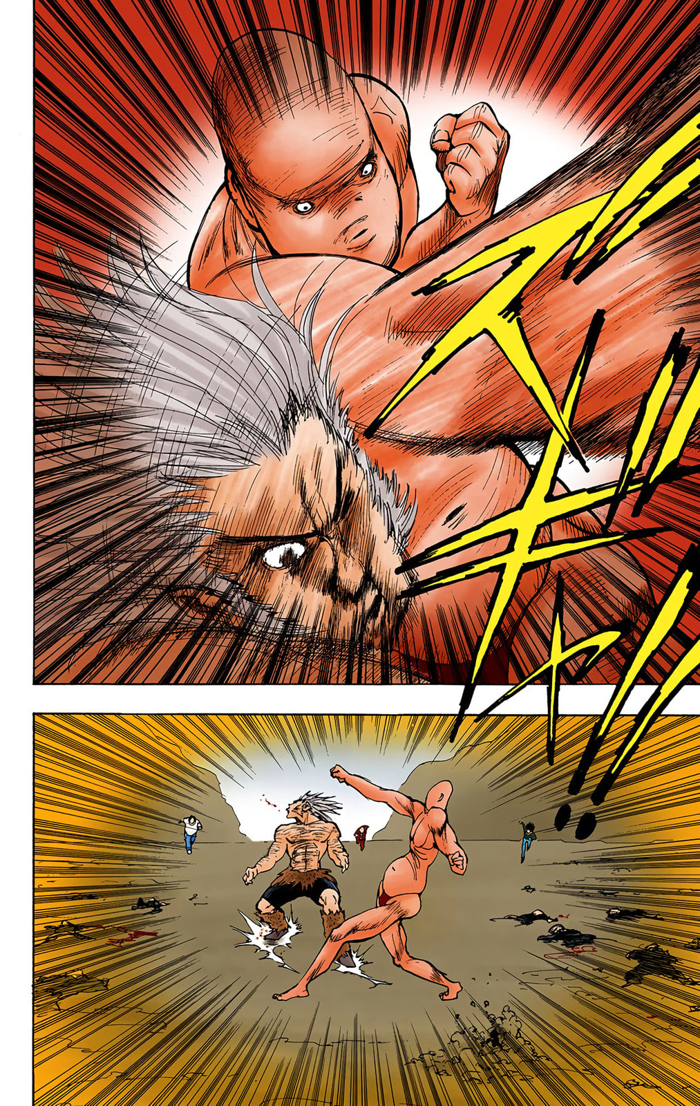 Hunter x Hunter Colored Manga