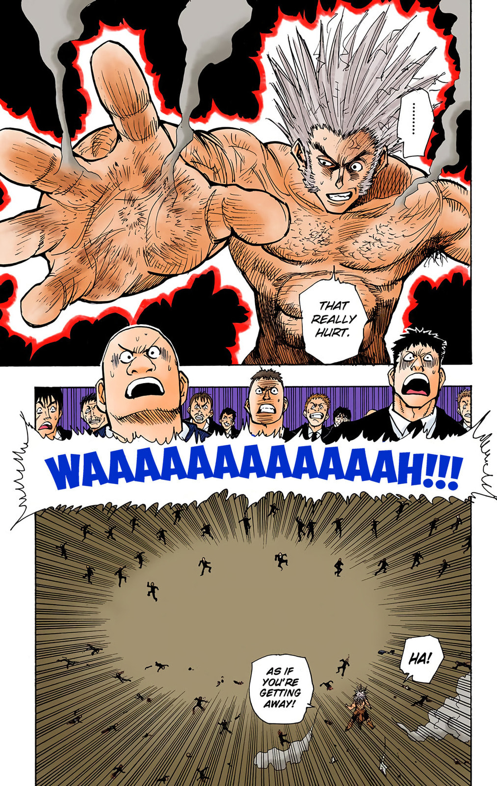 Hunter x Hunter Colored Manga