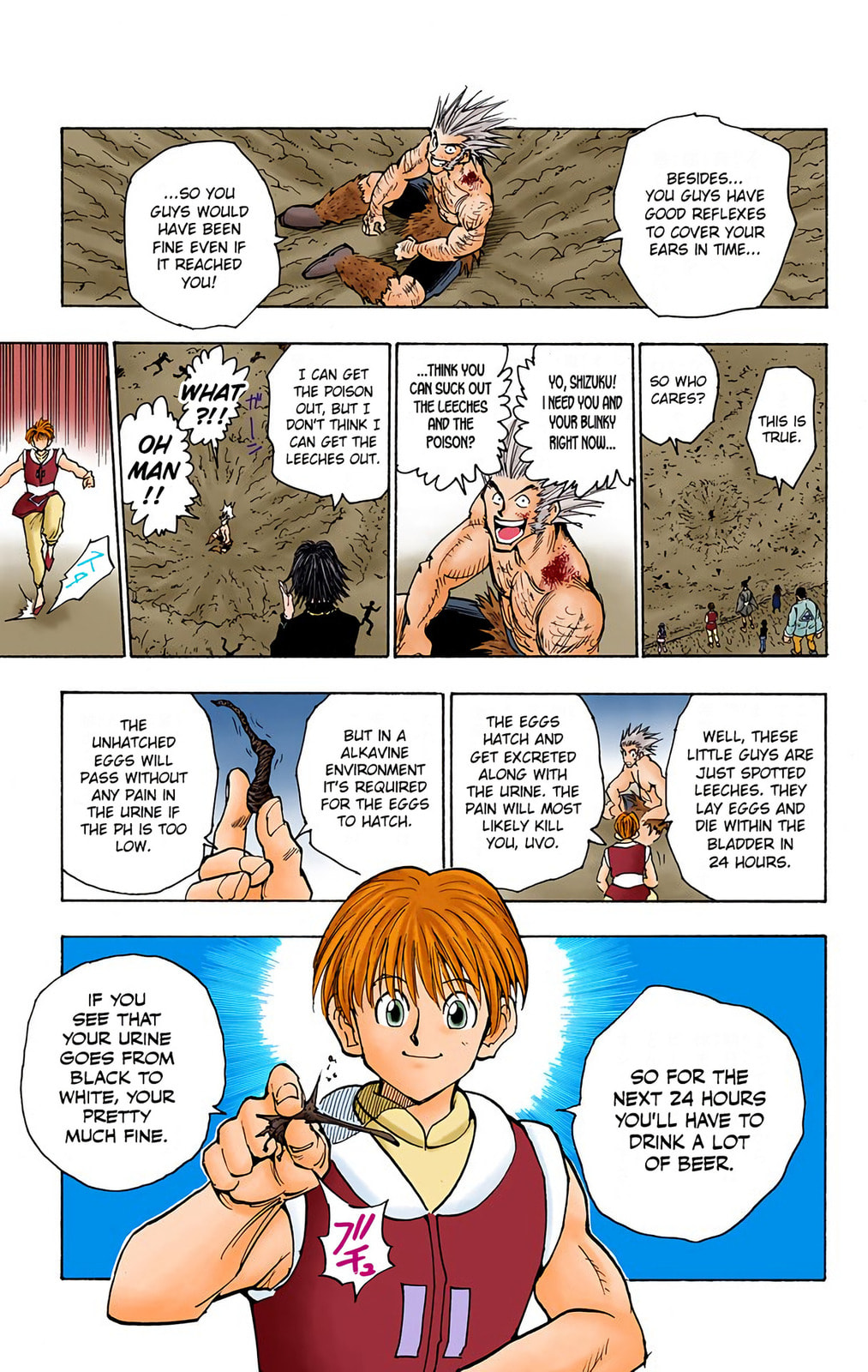 Hunter x Hunter Colored Manga