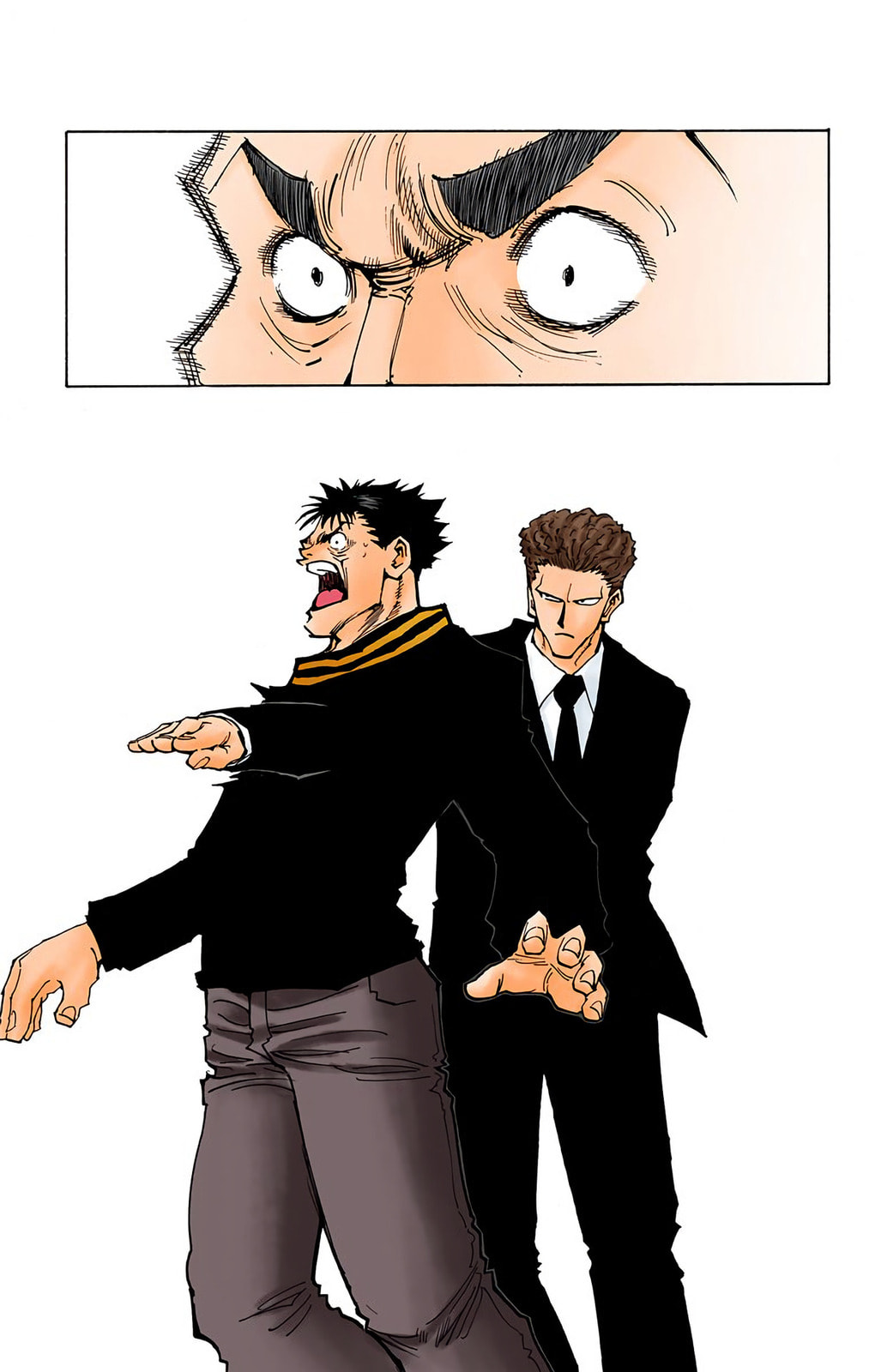Hunter x Hunter Colored Manga