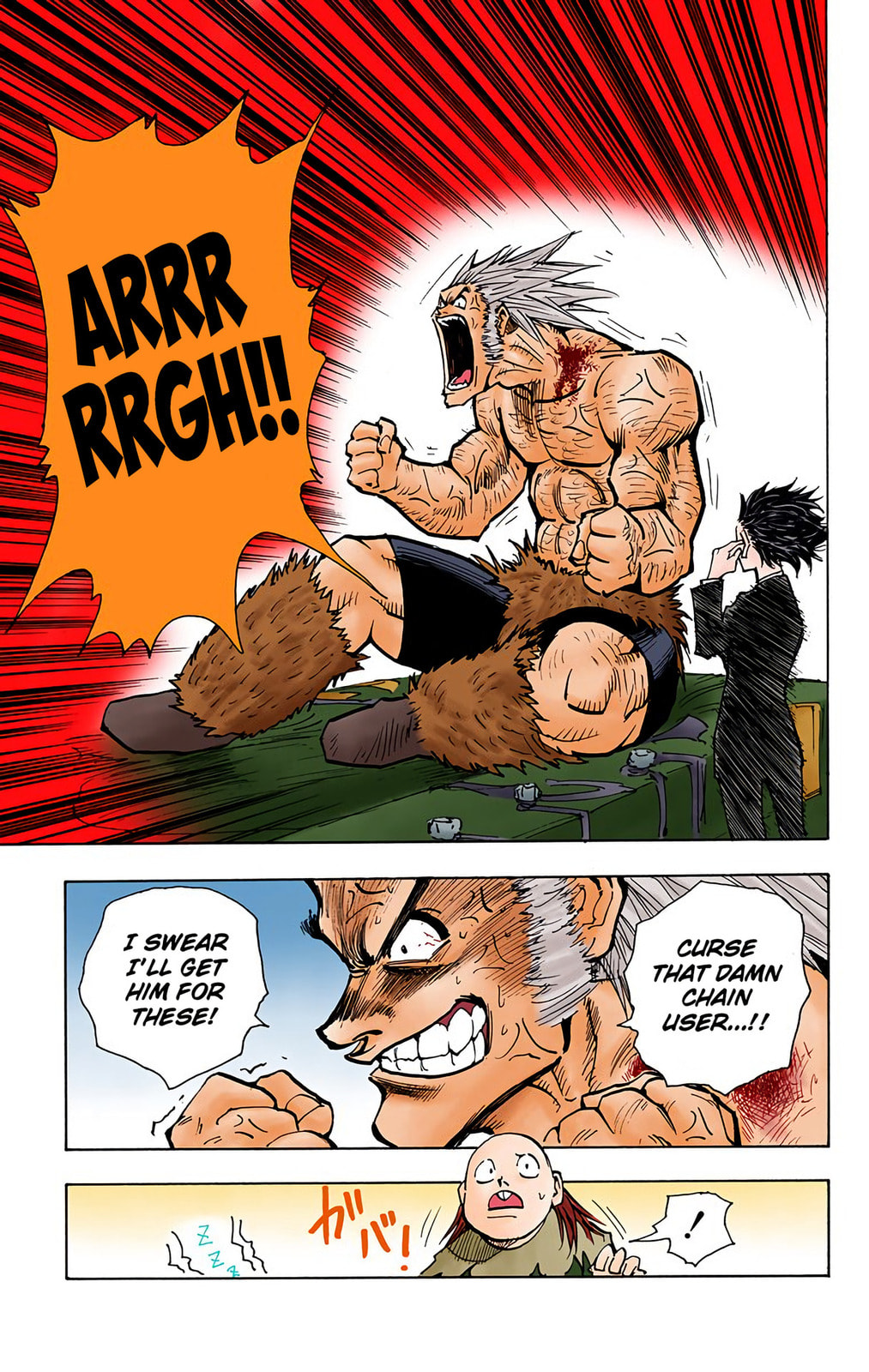 Hunter x Hunter Colored Manga