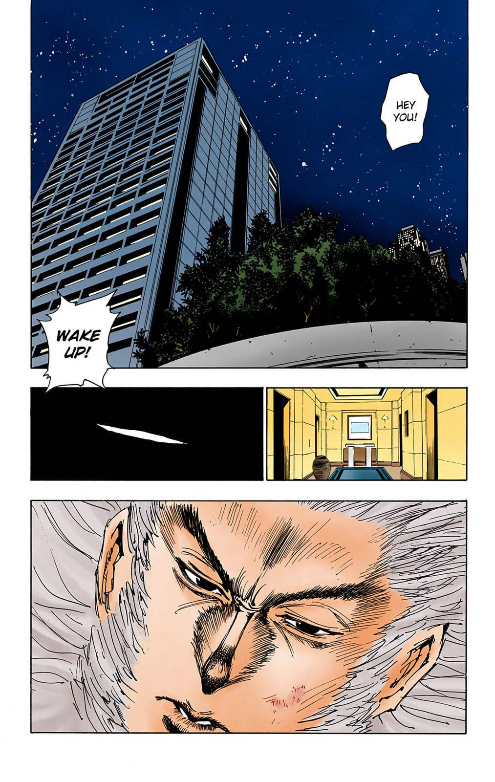 Hunter x Hunter Colored Manga