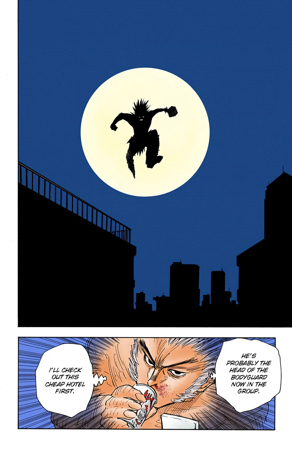 Hunter x Hunter Colored Manga