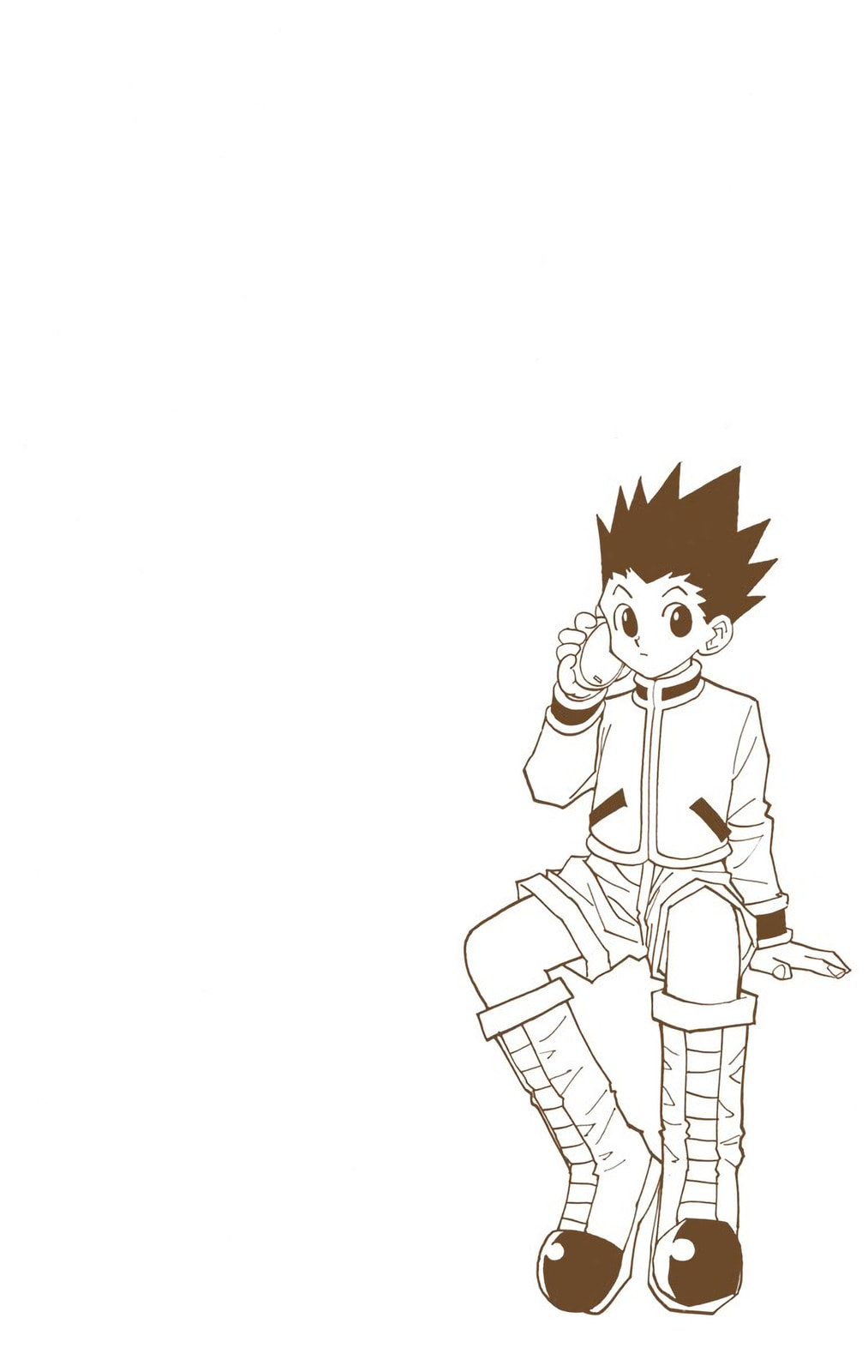 Hunter x Hunter Colored Manga