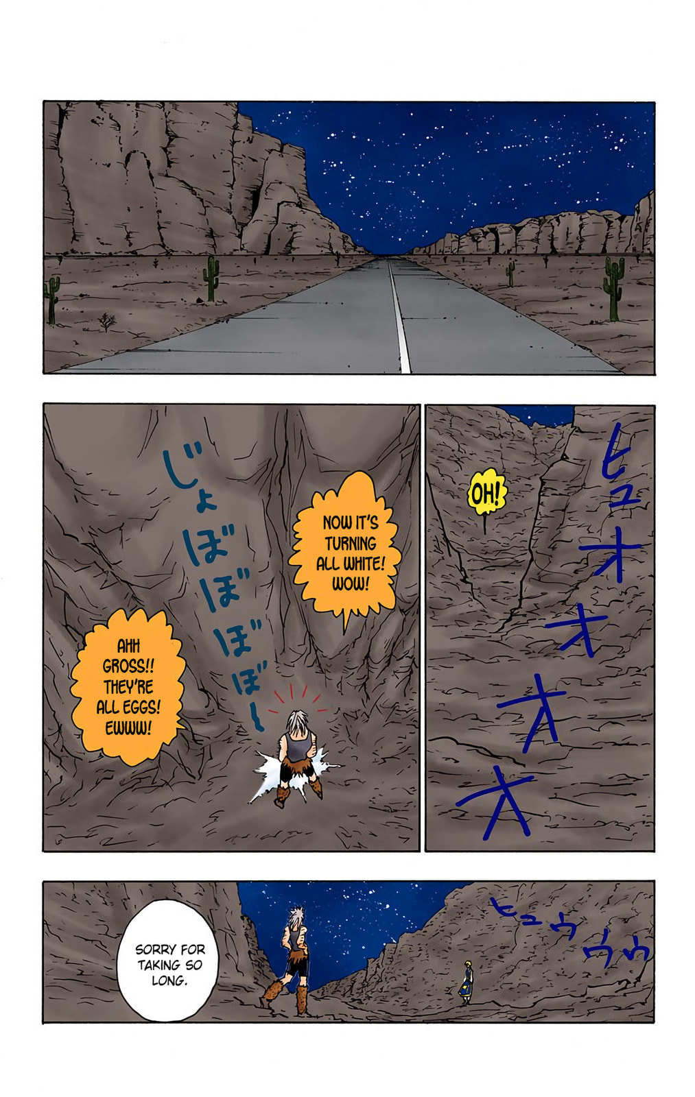 Hunter x Hunter Colored Manga