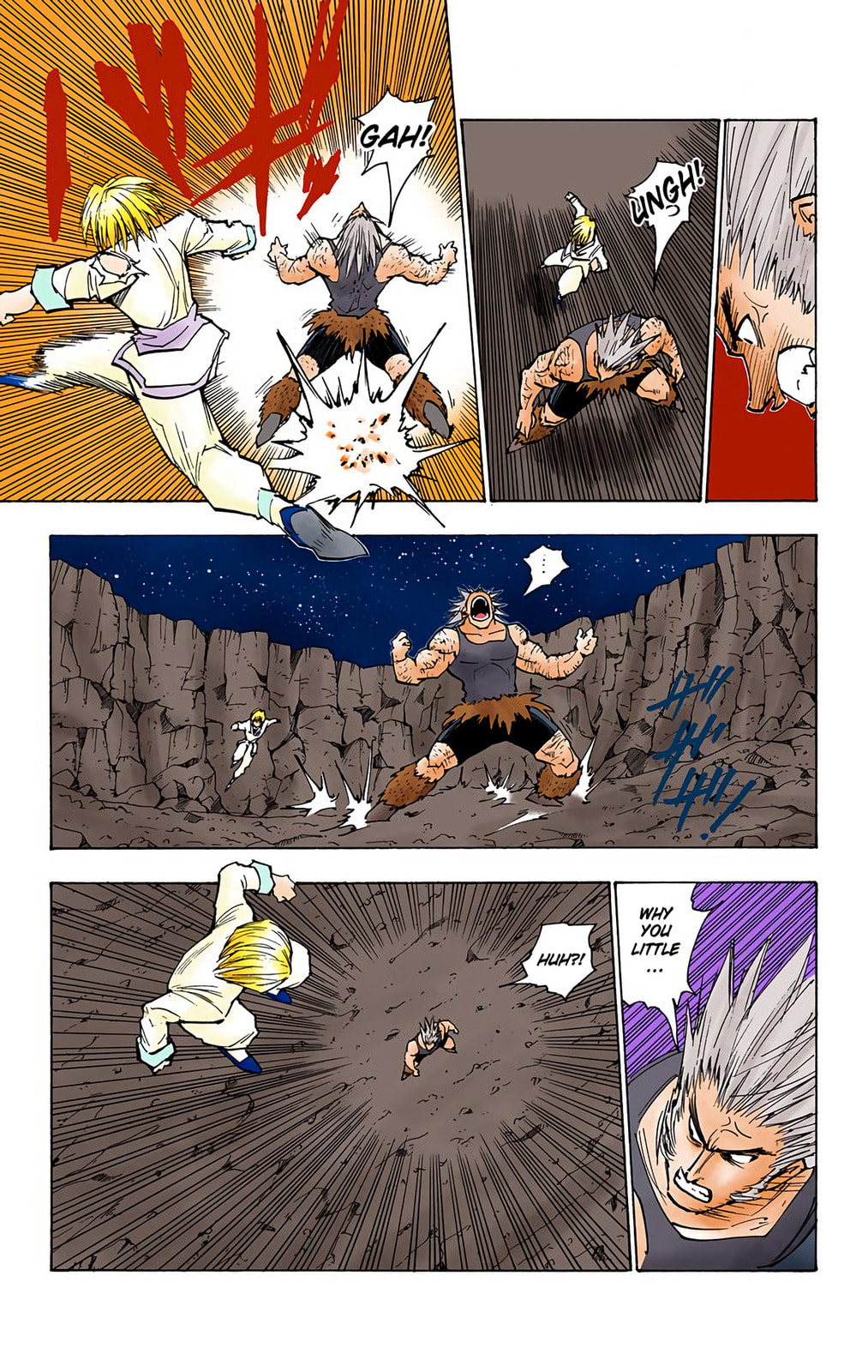 Hunter x Hunter Colored Manga