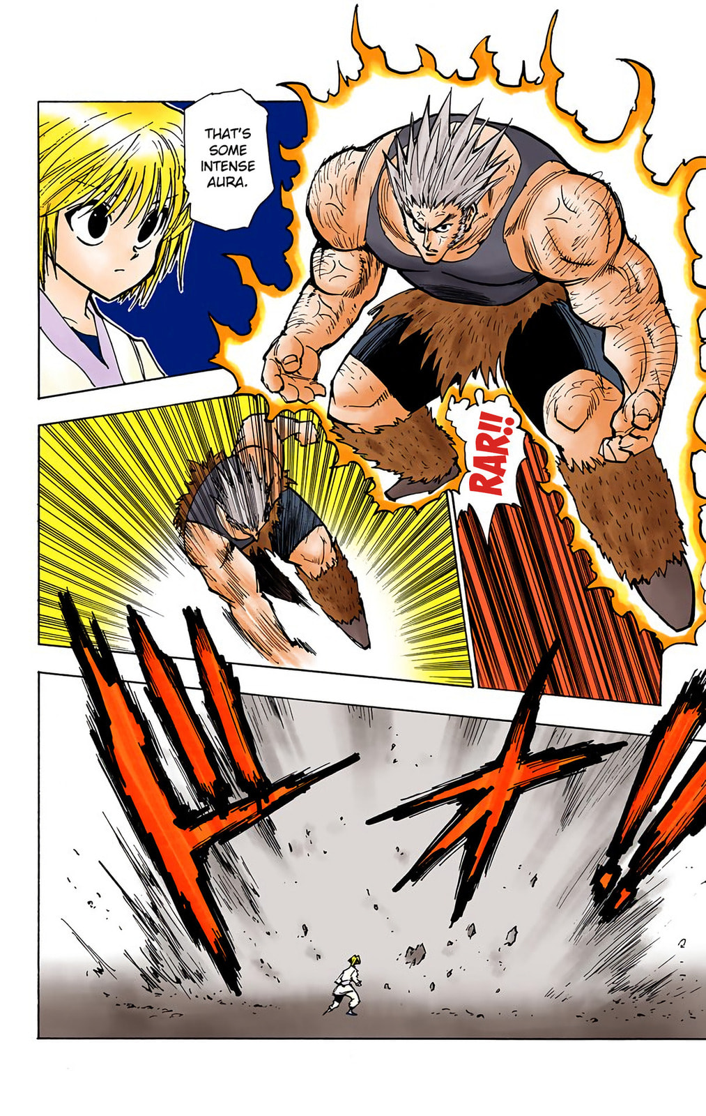 Hunter x Hunter Colored Manga