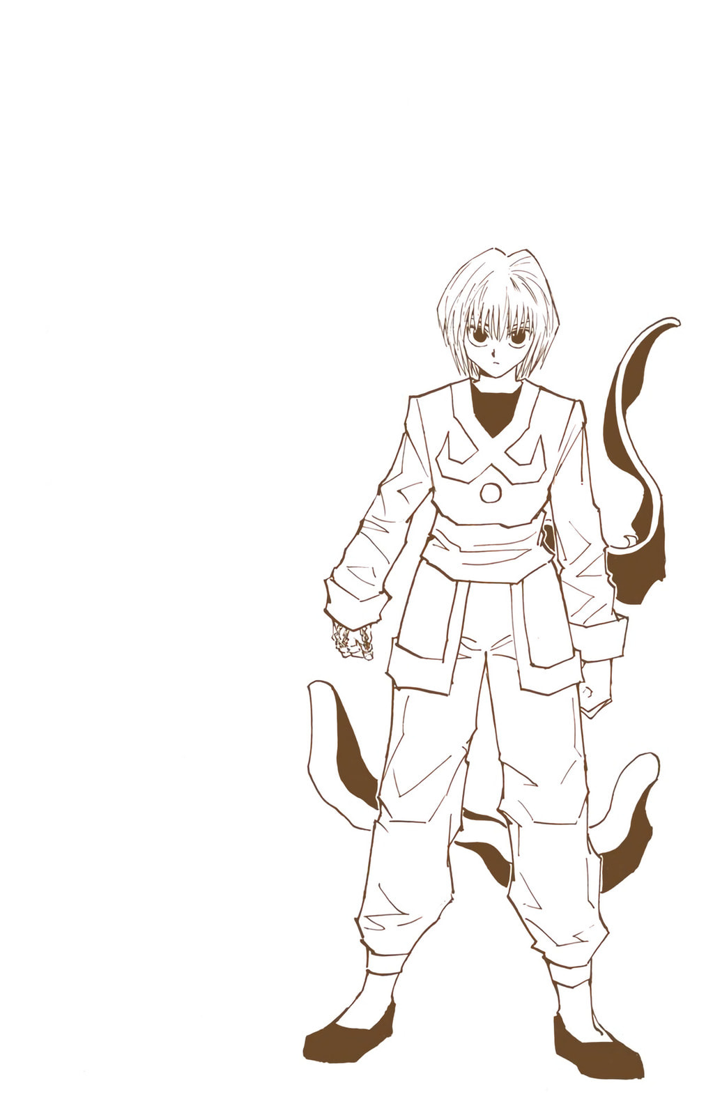 Hunter x Hunter Colored Manga