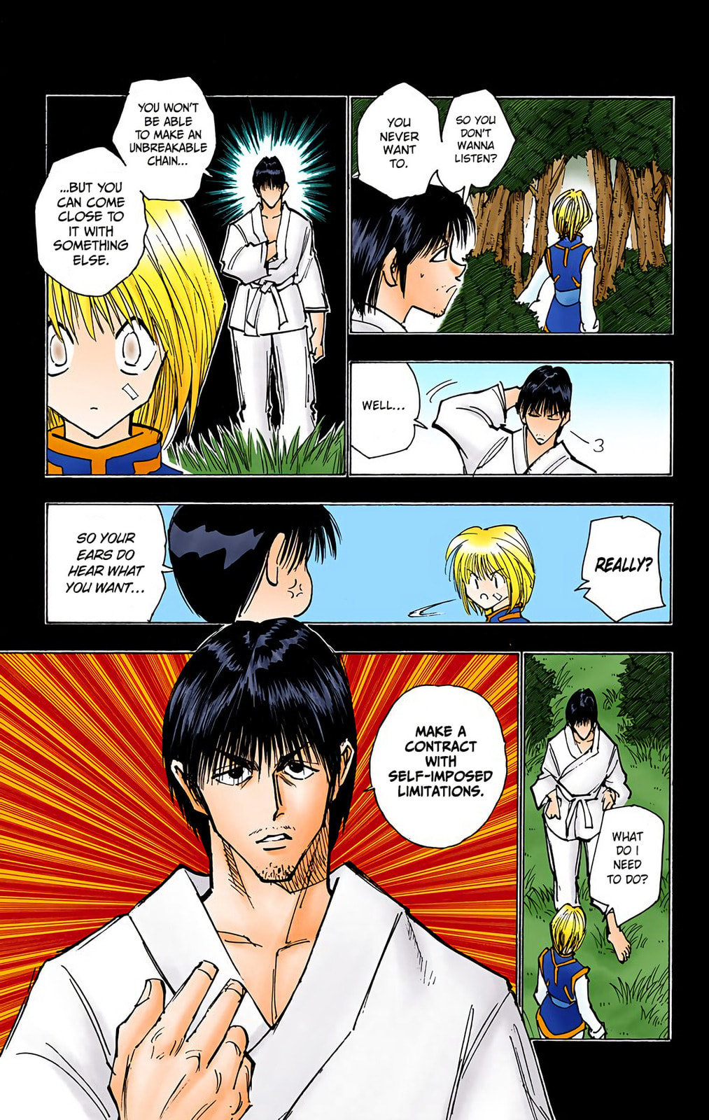 Hunter x Hunter Colored Manga
