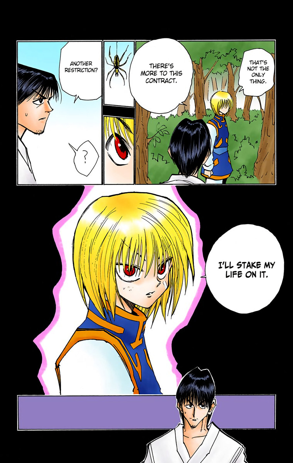 Hunter x Hunter Colored Manga