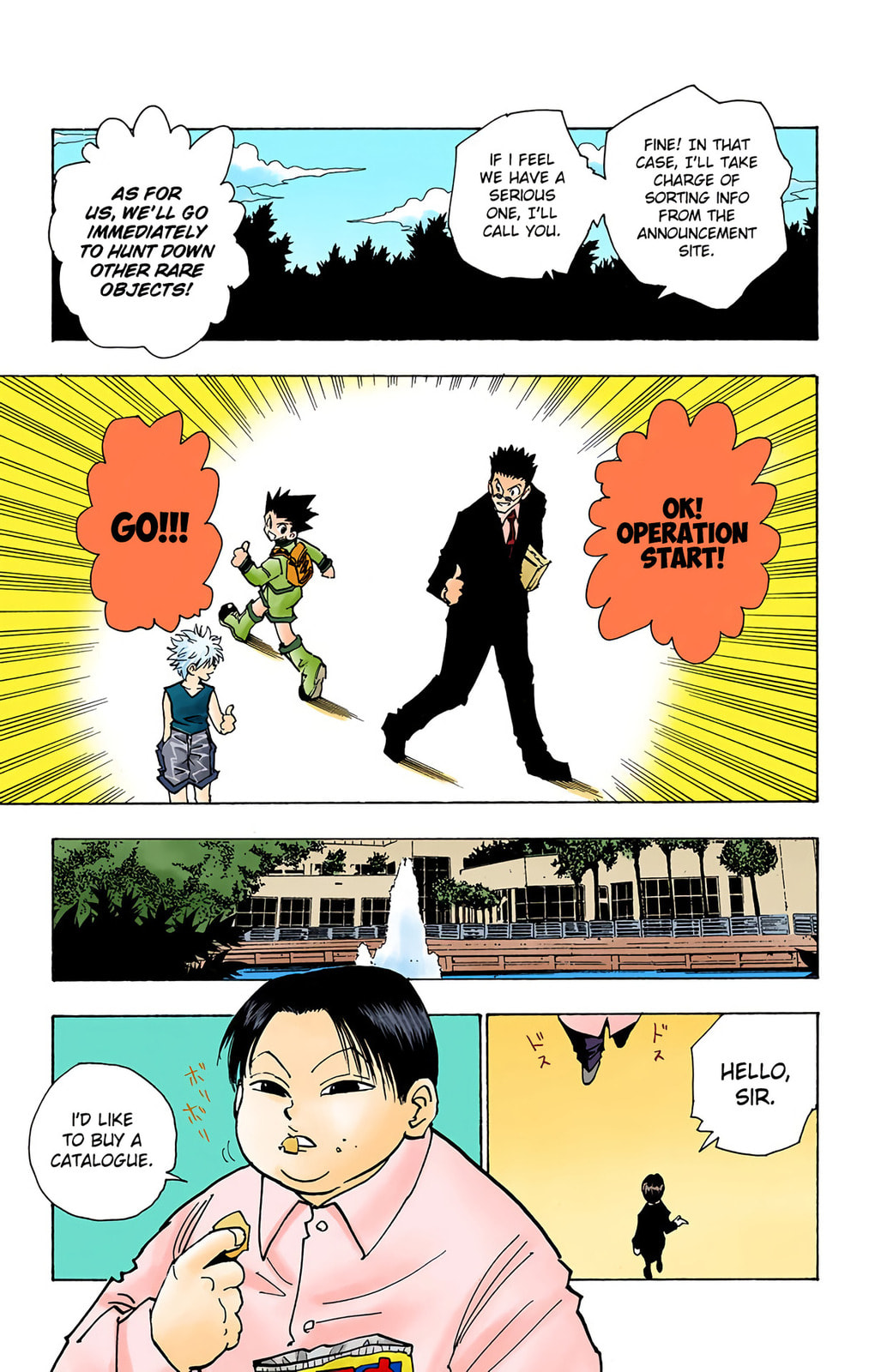 Hunter x Hunter Colored Manga