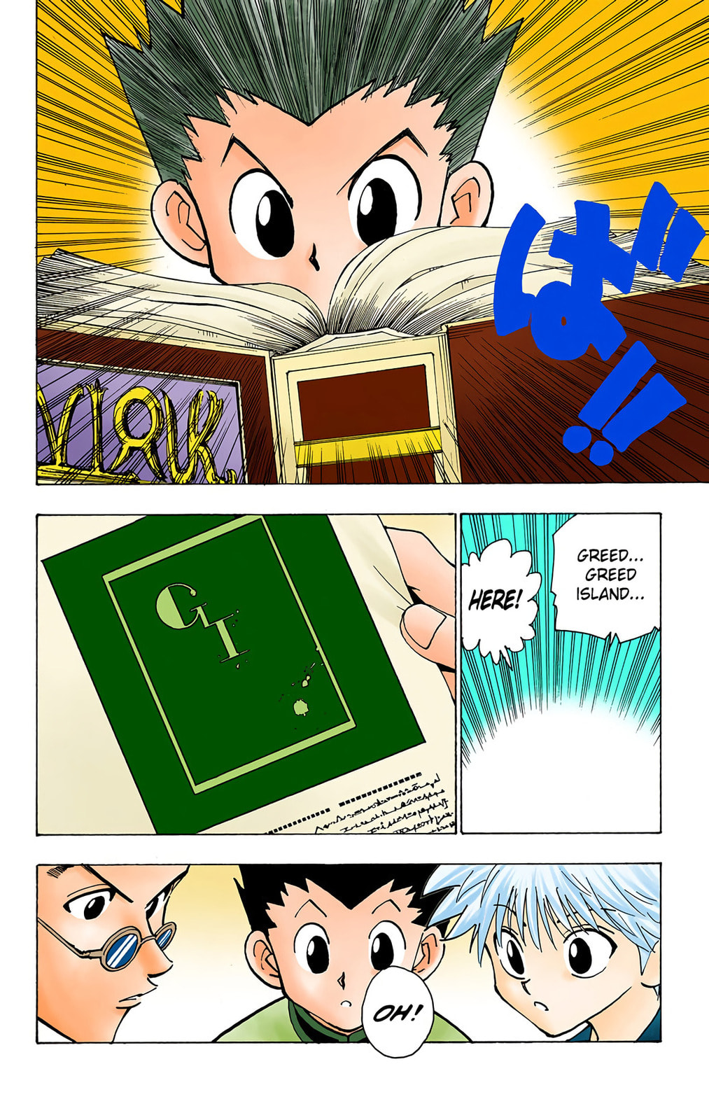 Hunter x Hunter Colored Manga