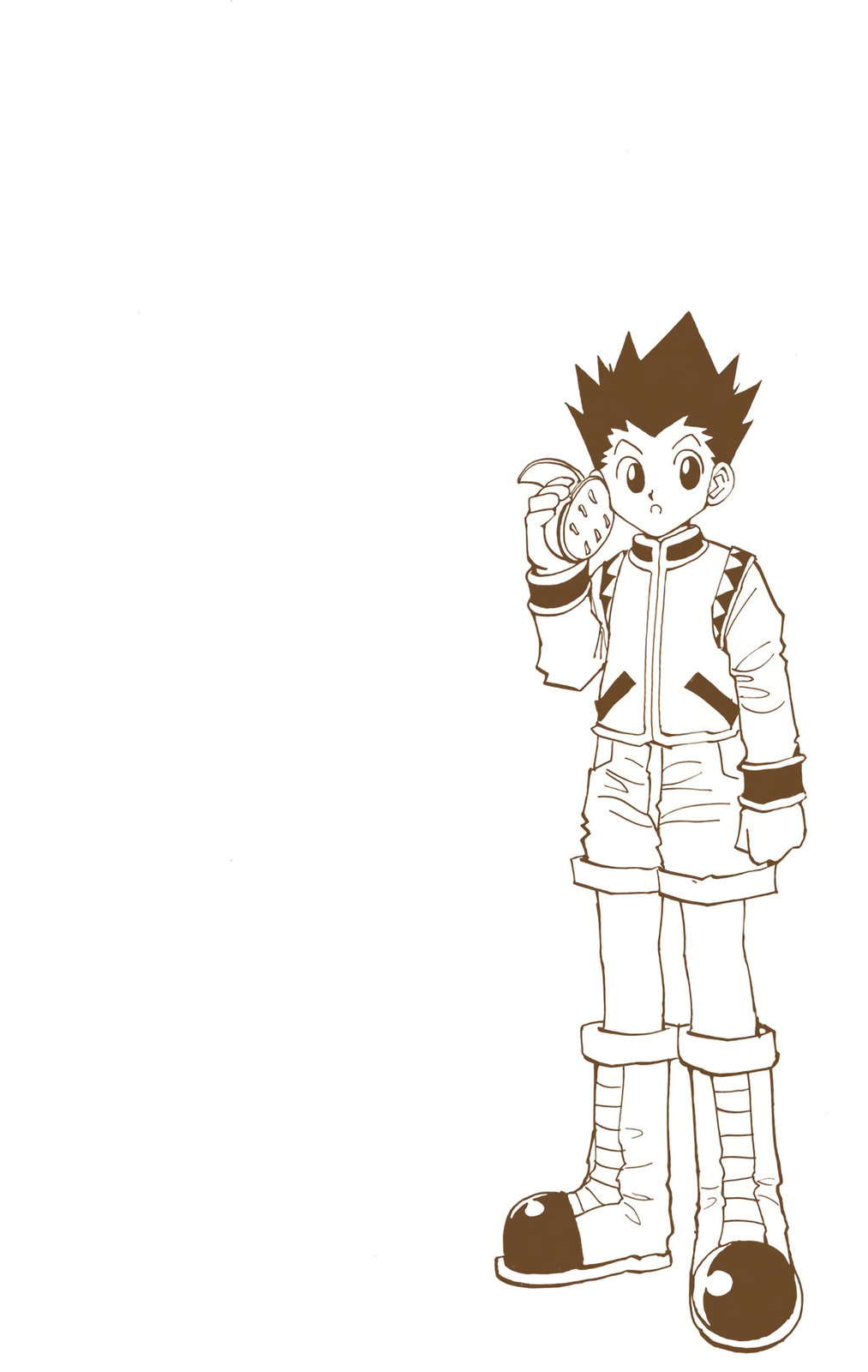 Hunter x Hunter Colored Manga