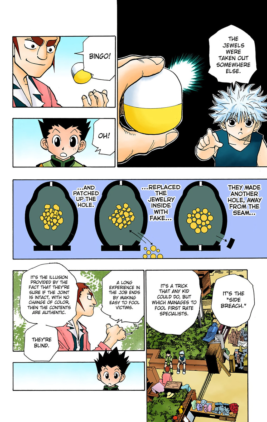 Hunter x Hunter Colored Manga