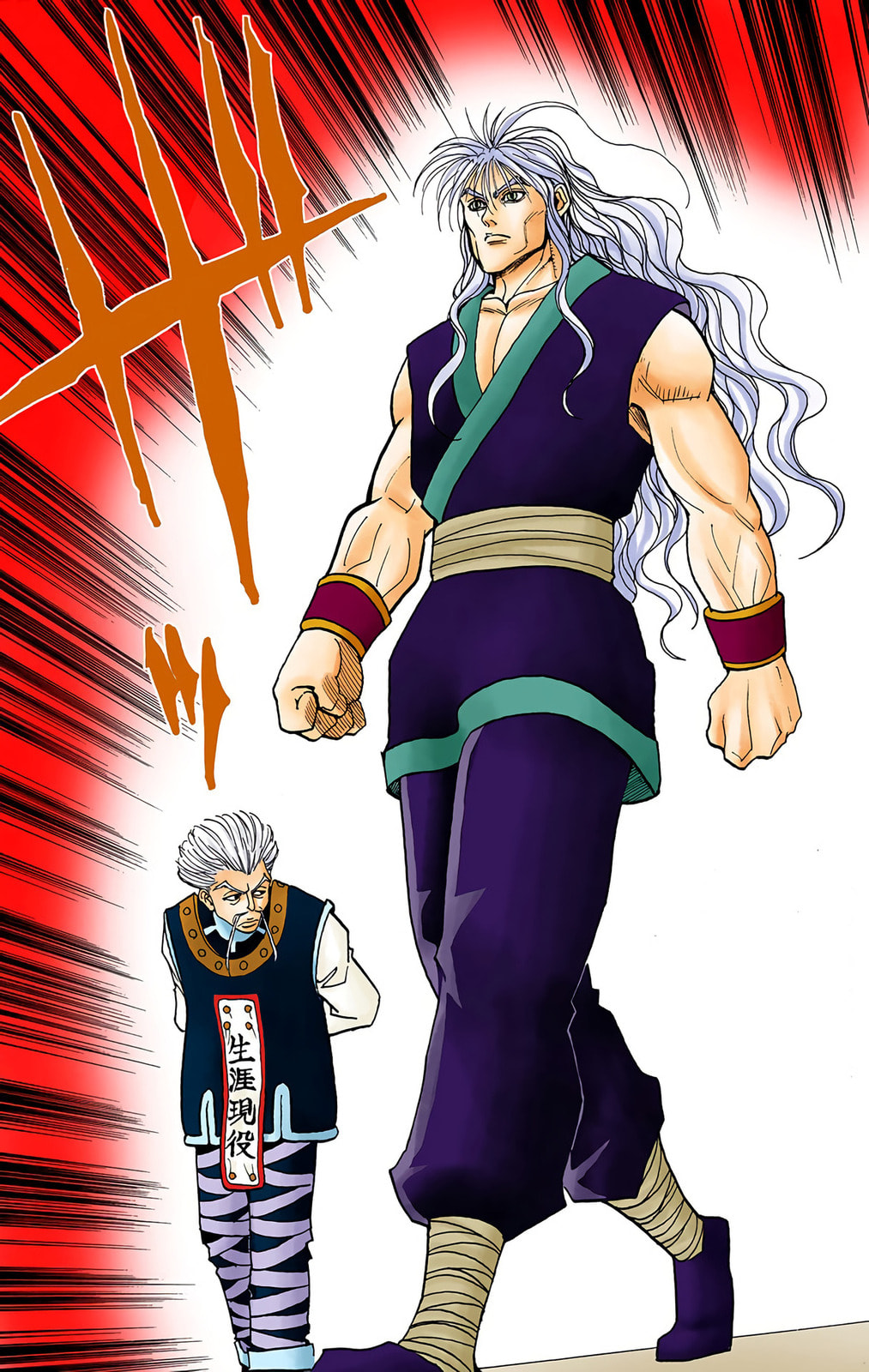 Hunter x Hunter Colored Manga