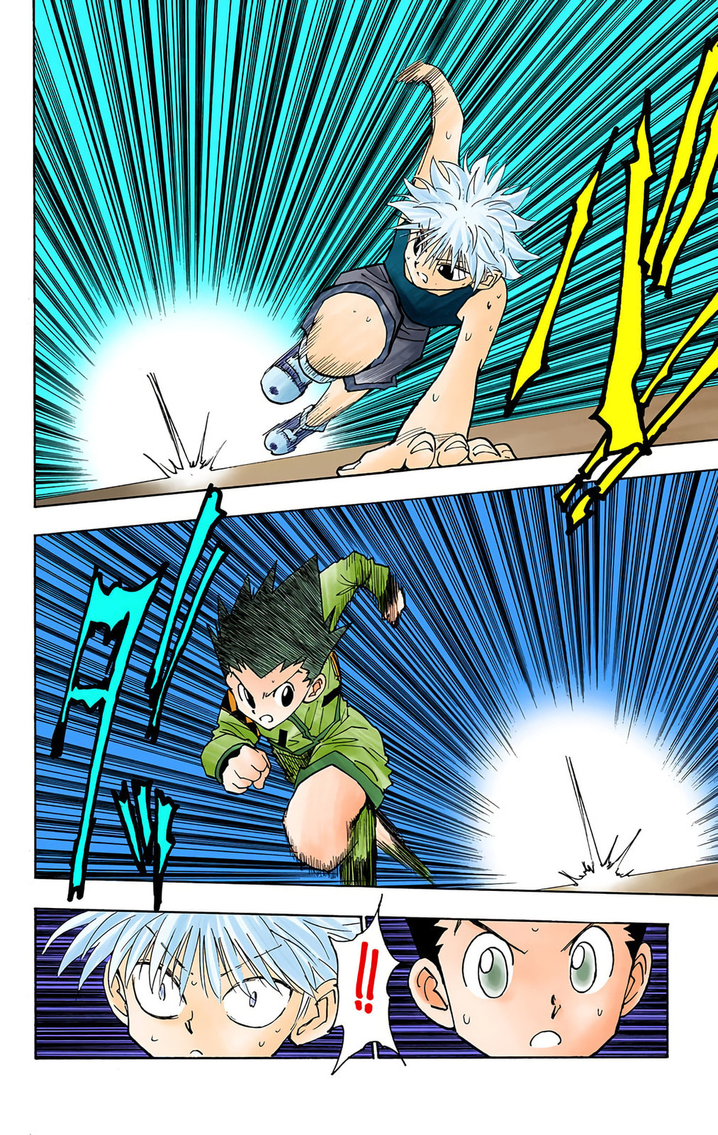 Hunter x Hunter Colored Manga