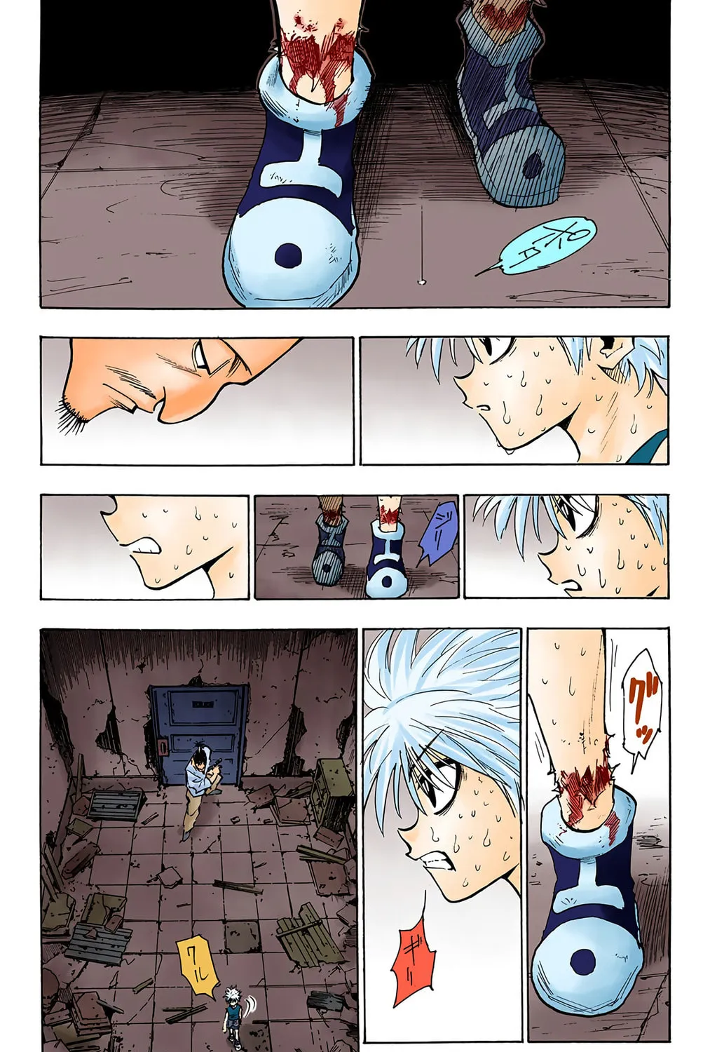 Hunter x Hunter Colored Manga