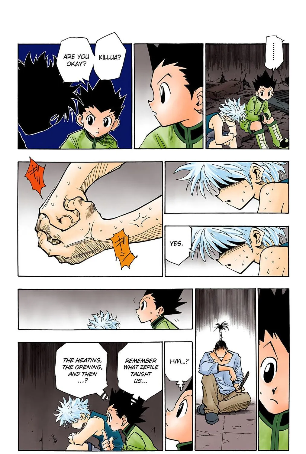 Hunter x Hunter Colored Manga