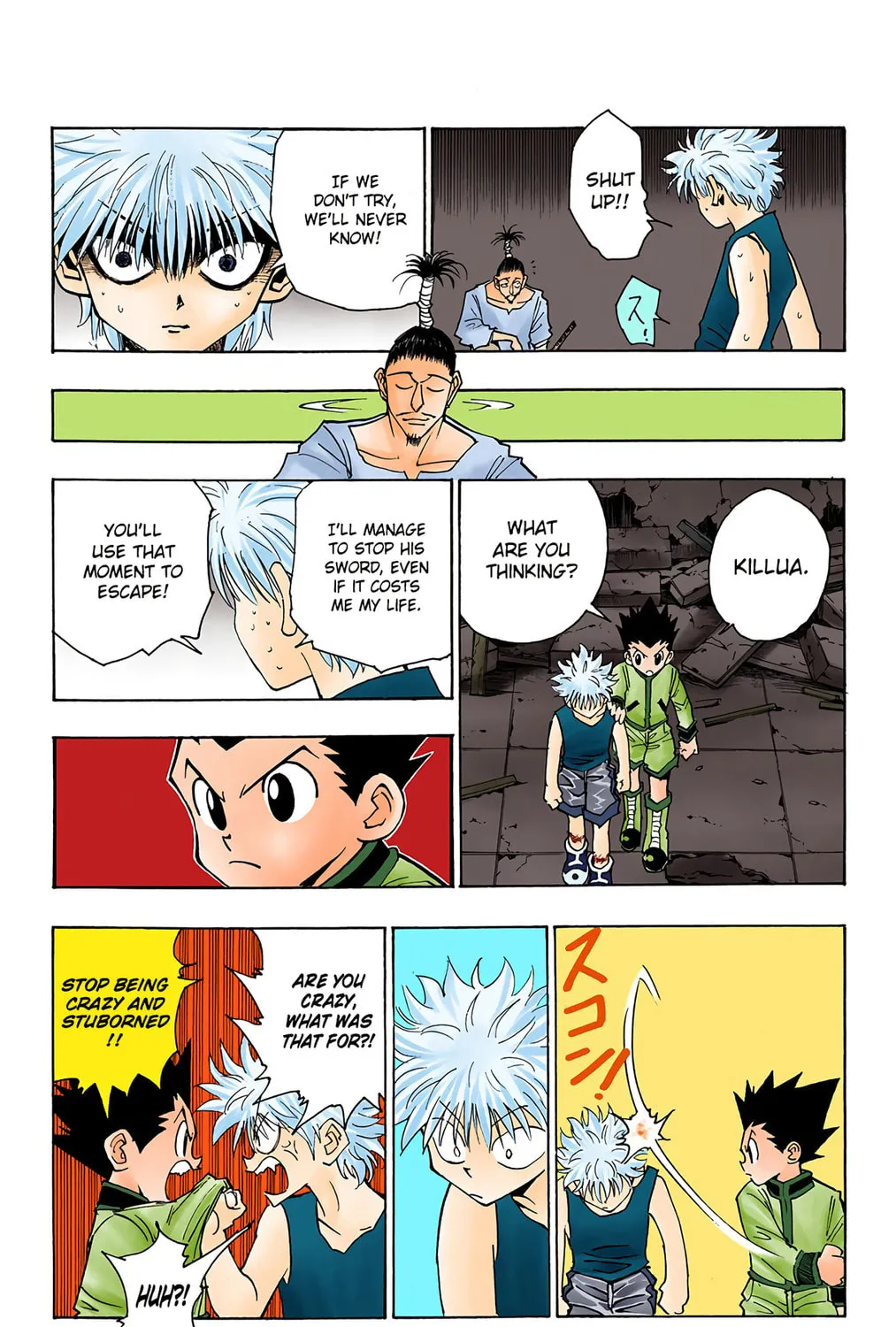 Hunter x Hunter Colored Manga