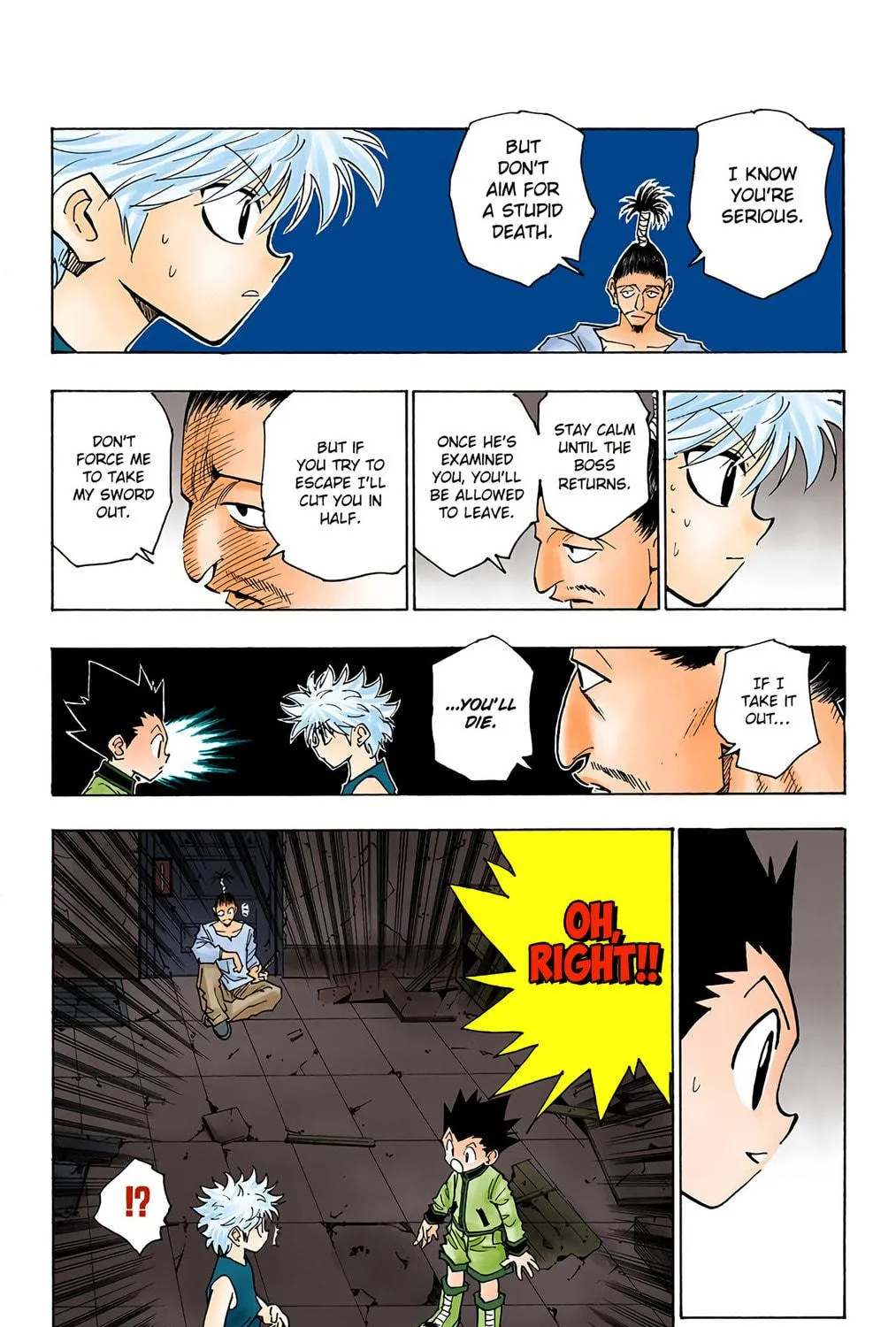 Hunter x Hunter Colored Manga