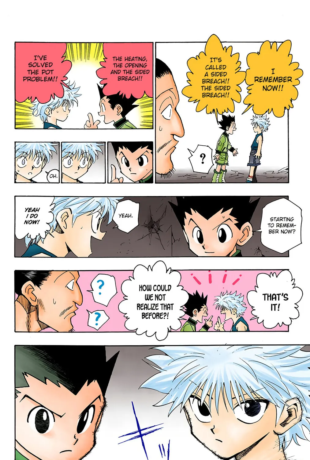 Hunter x Hunter Colored Manga