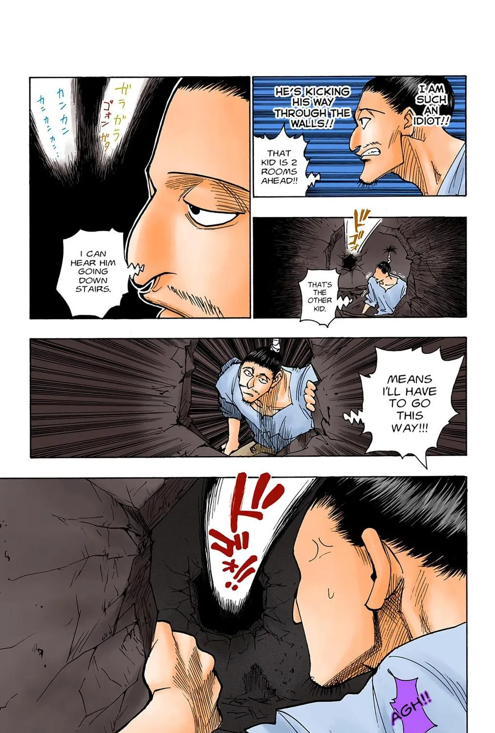 Hunter x Hunter Colored Manga