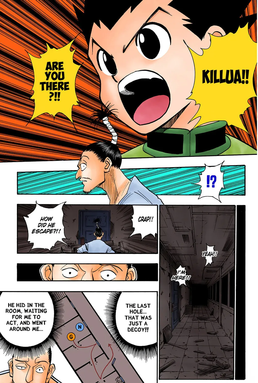 Hunter x Hunter Colored Manga