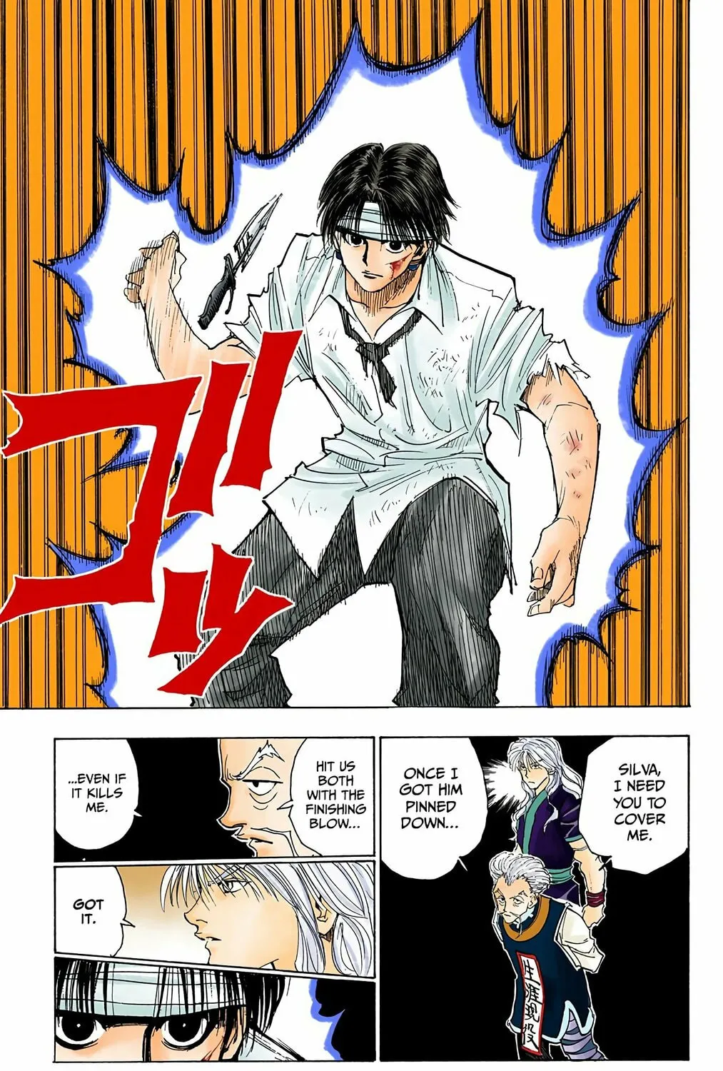 Hunter x Hunter Colored Manga