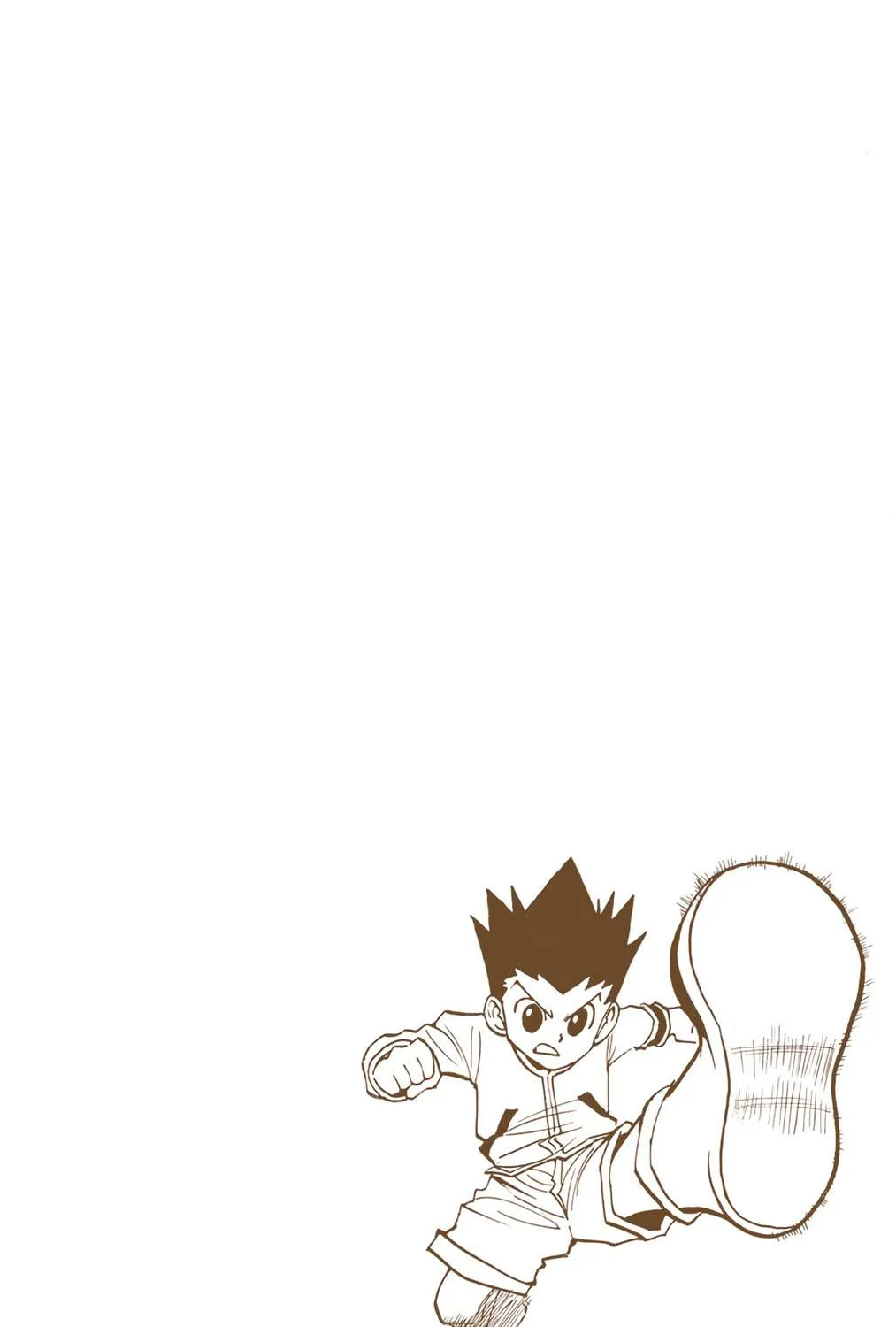 Hunter x Hunter Colored Manga